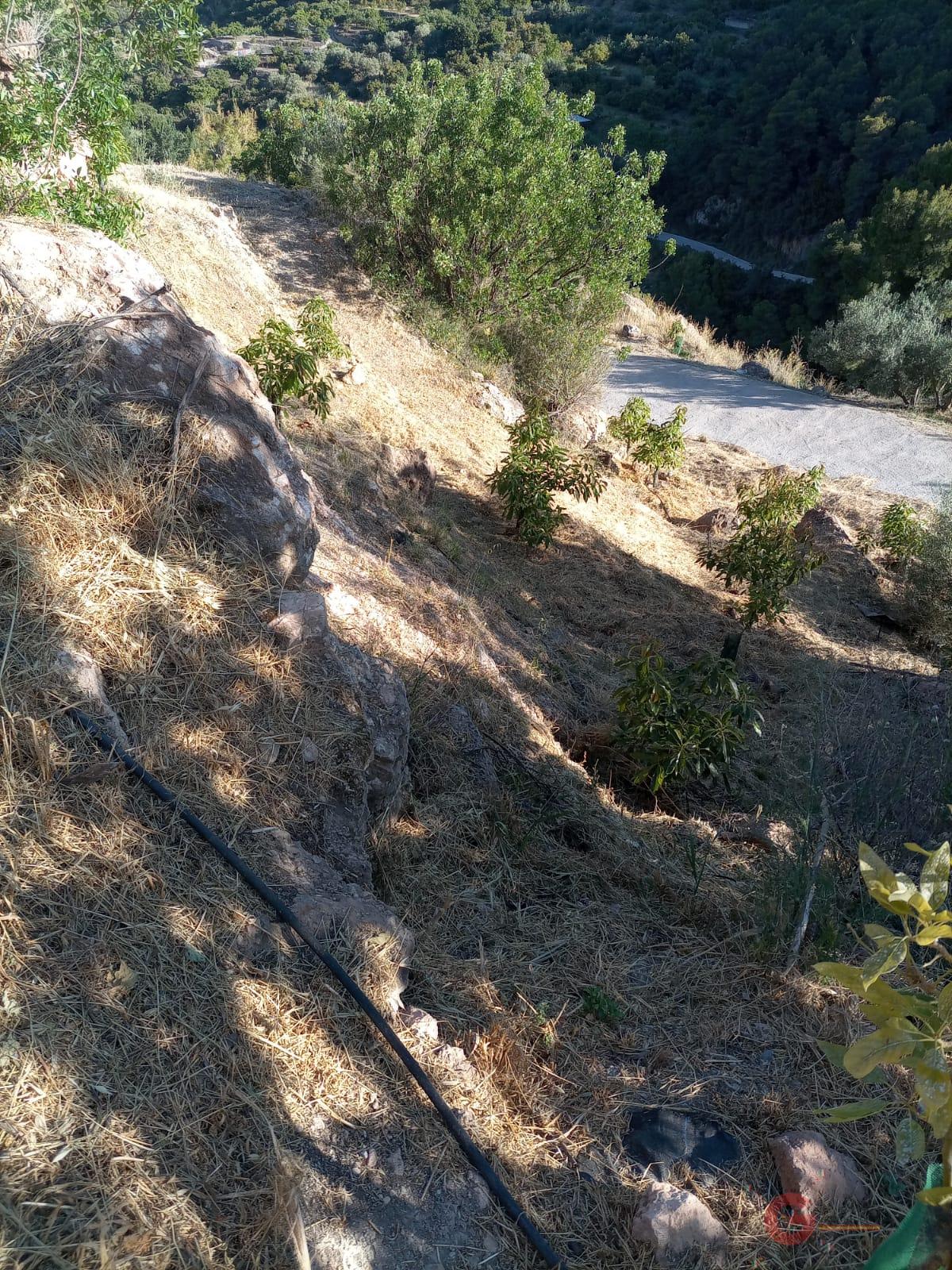 For sale of land in Guájar Alto