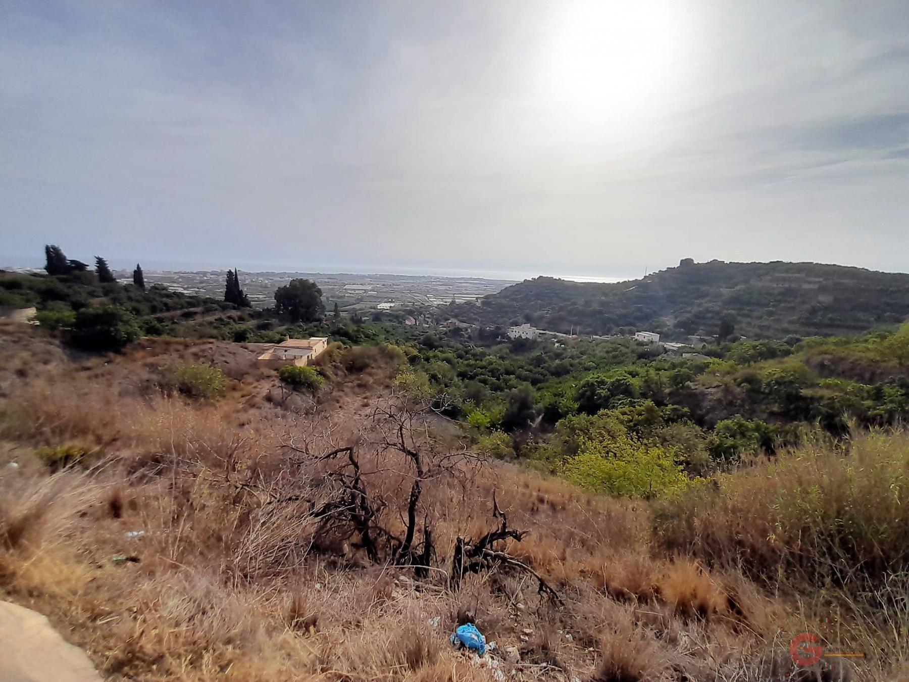 For sale of rural property in Motril