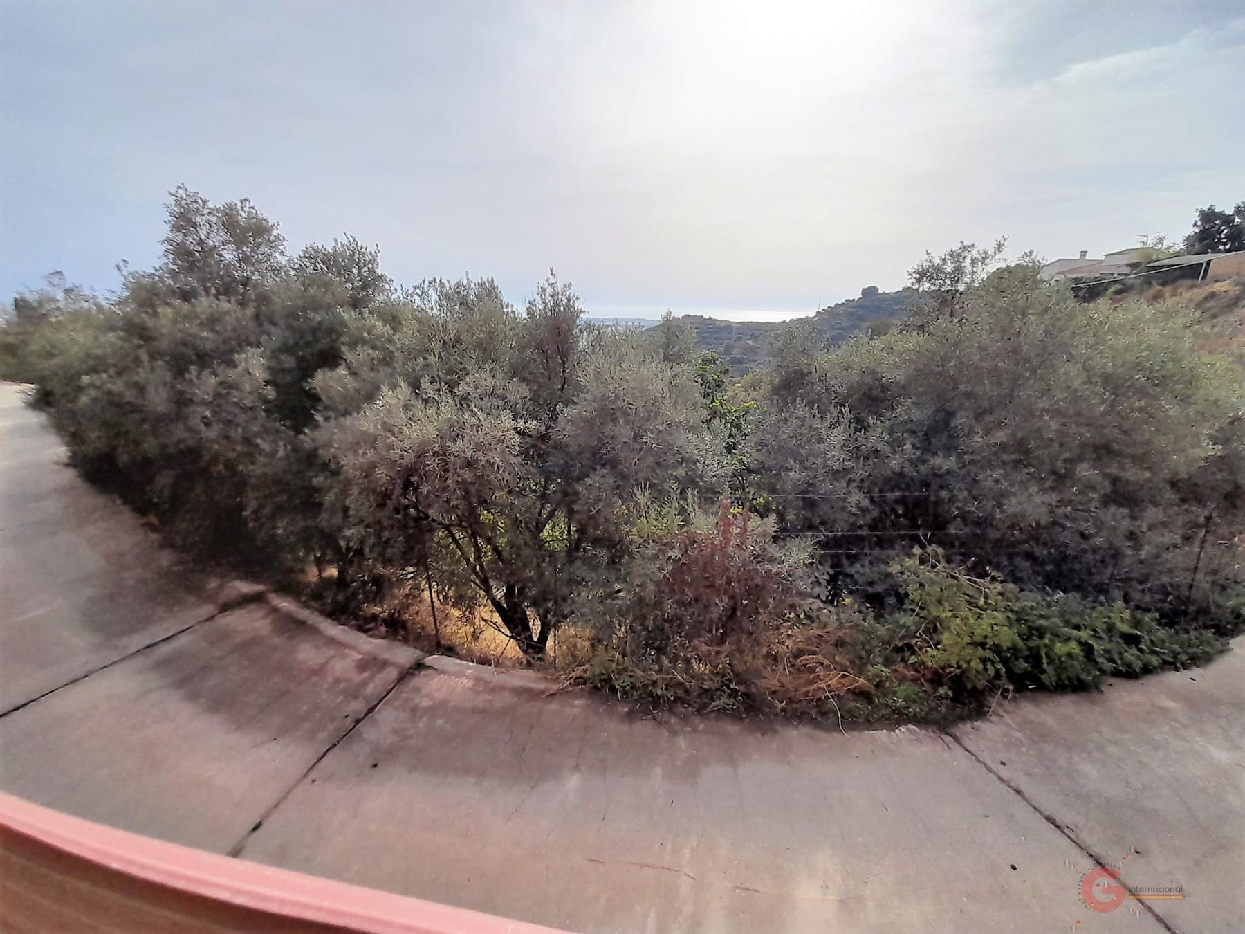 For sale of rural property in Motril