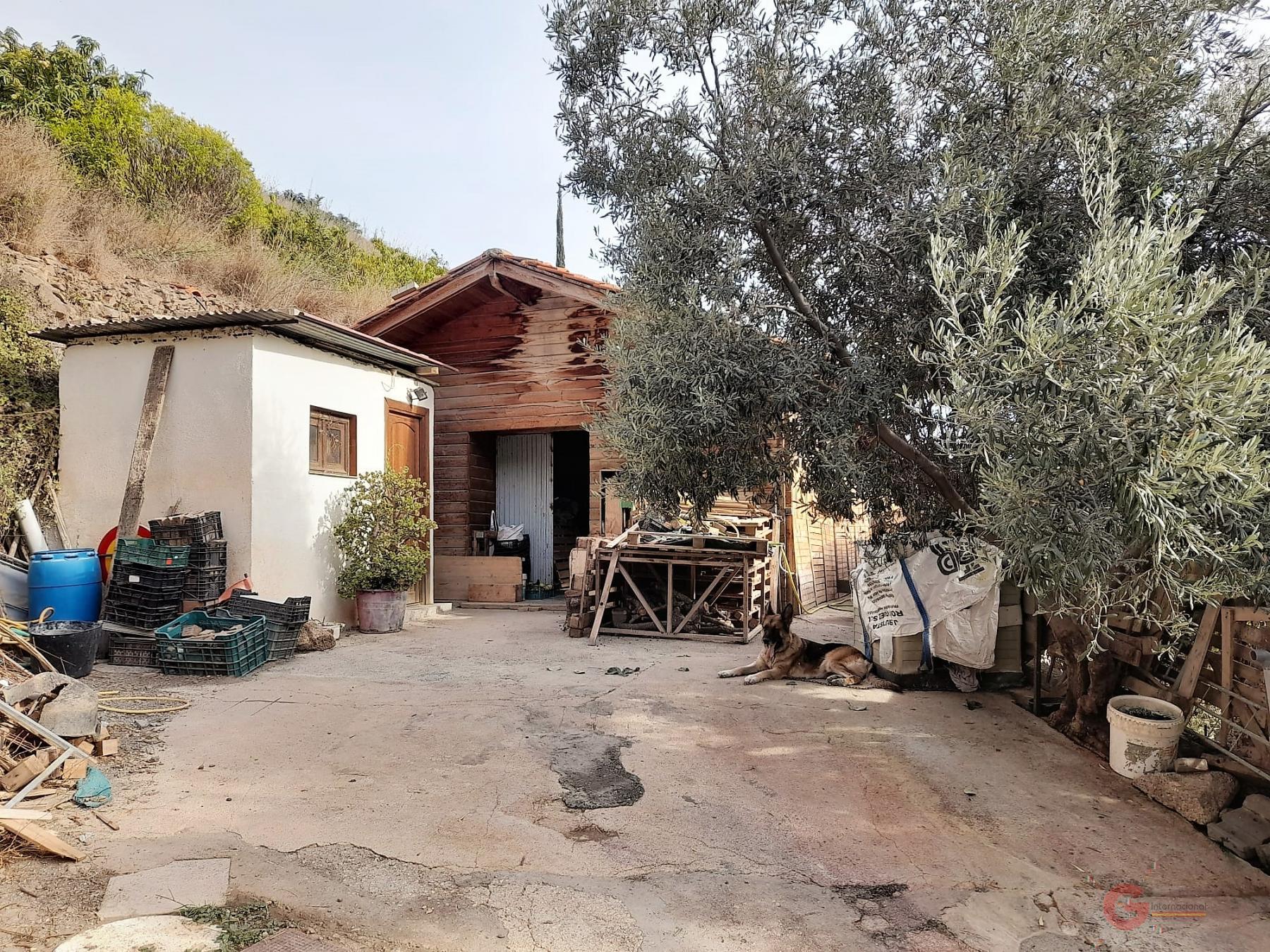 For sale of rural property in Motril