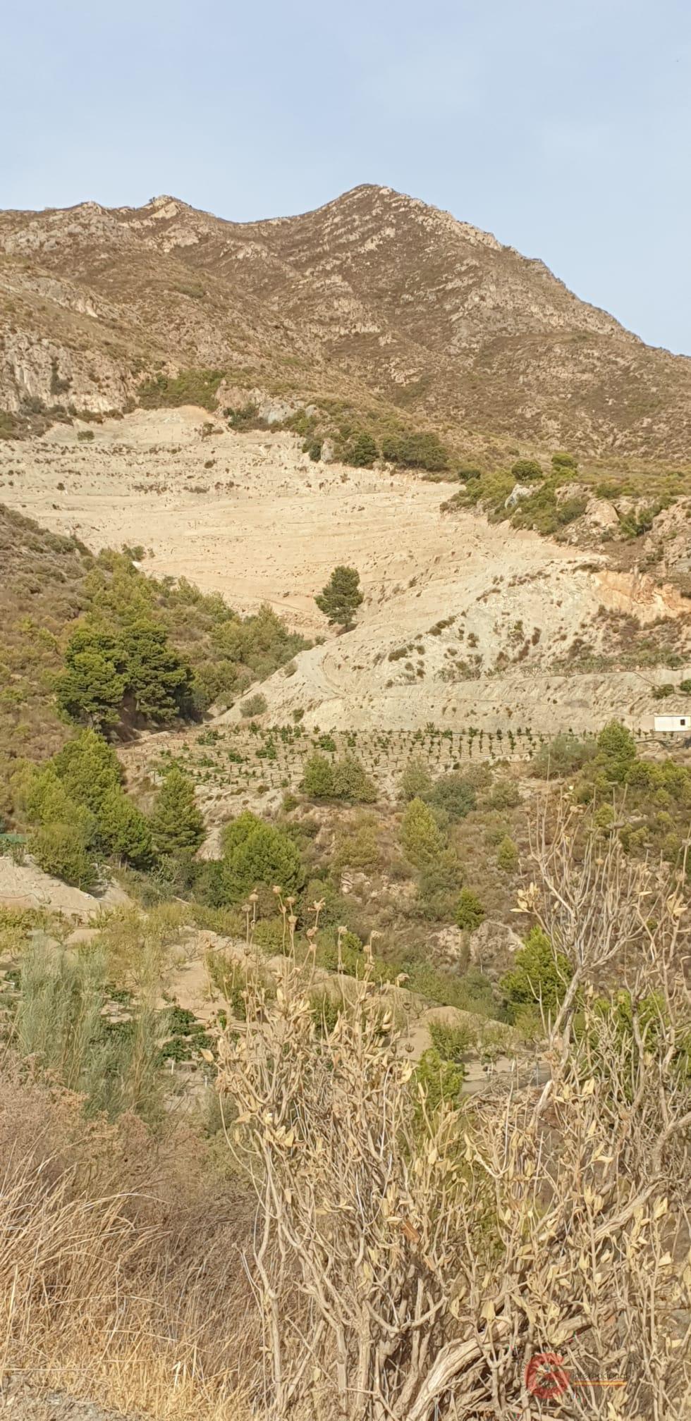 Vendita di terreno in Molvízar