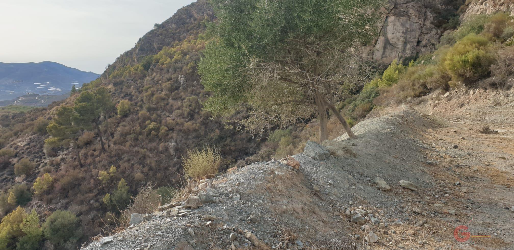 Vendita di terreno in Molvízar