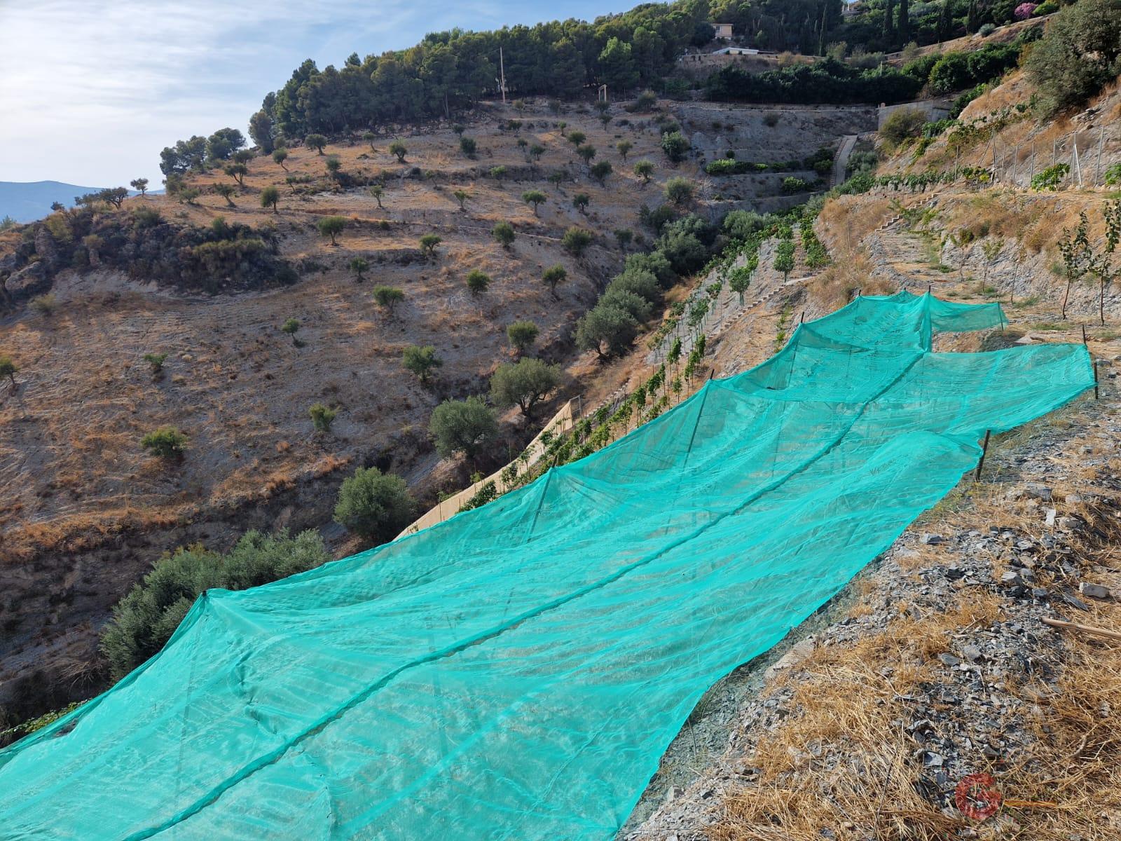 Vente de terrain dans Molvízar