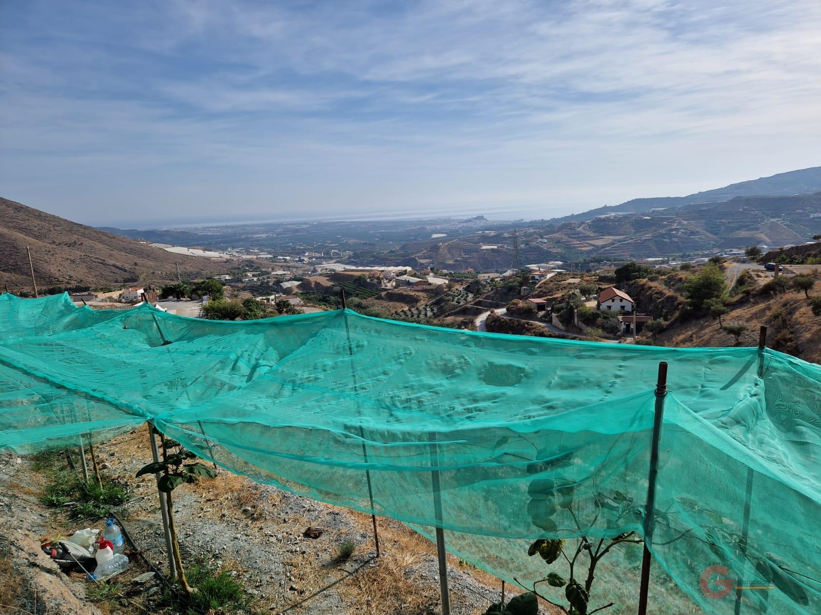 Vente de terrain dans Molvízar