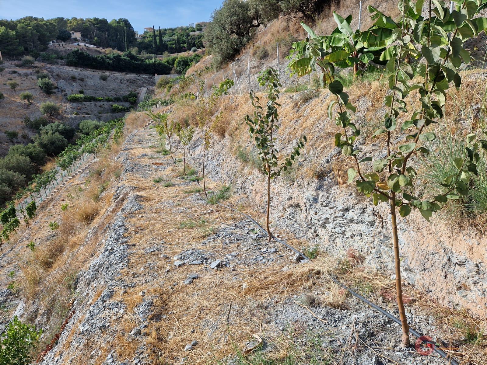 Vente de terrain dans Molvízar