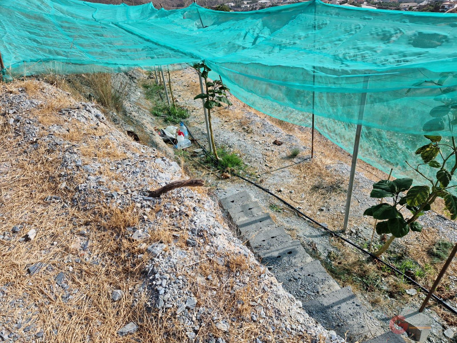 Vente de terrain dans Molvízar