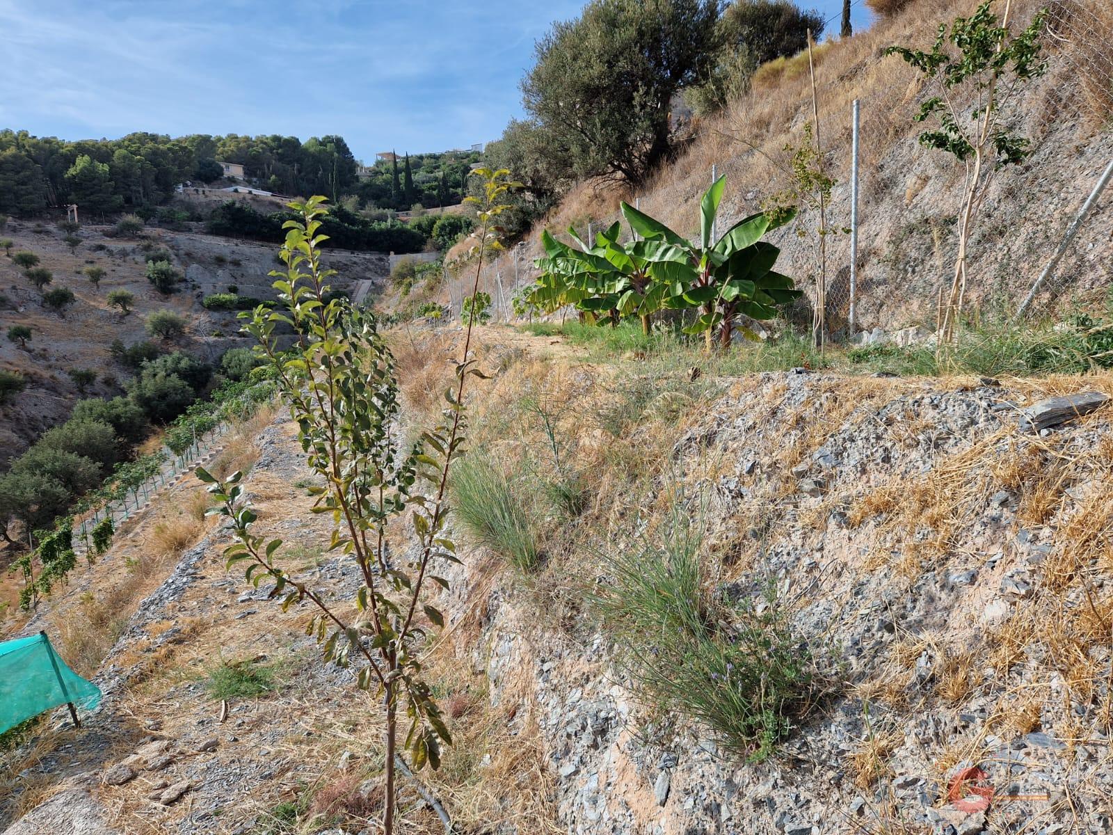 Vente de terrain dans Molvízar