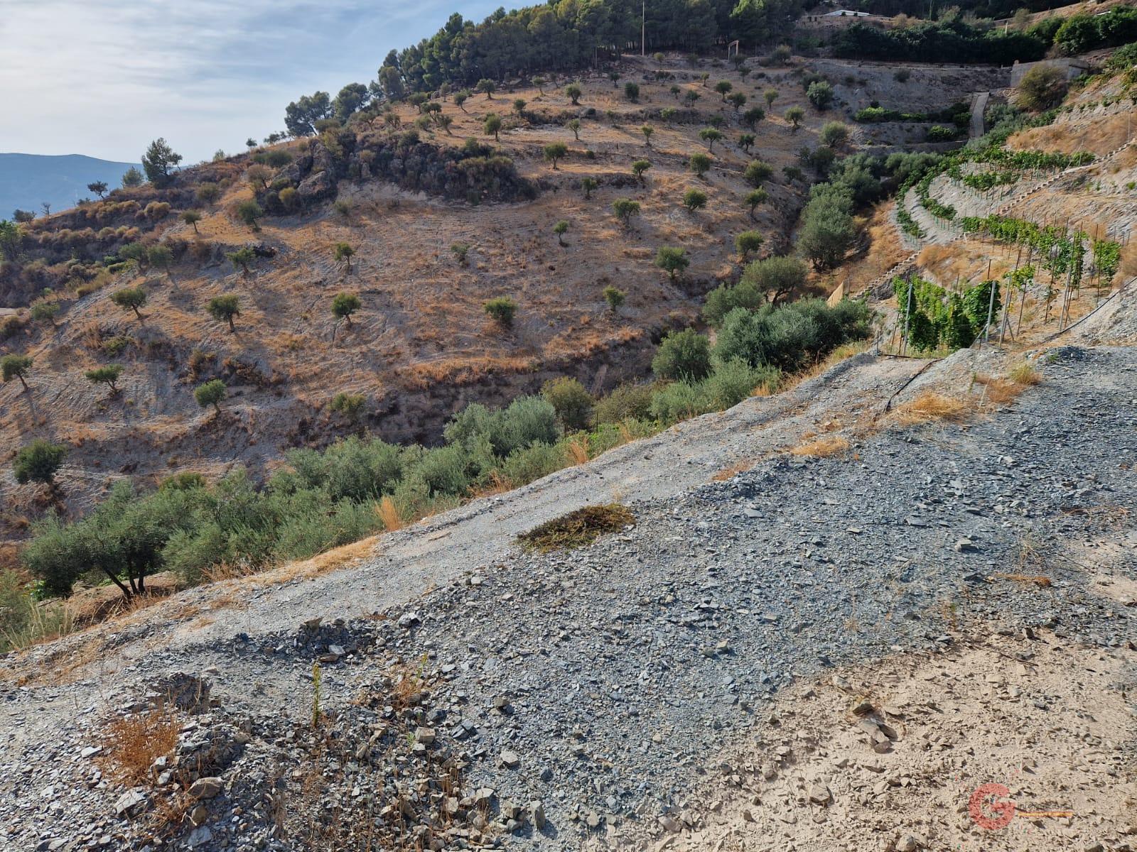 Vente de terrain dans Molvízar