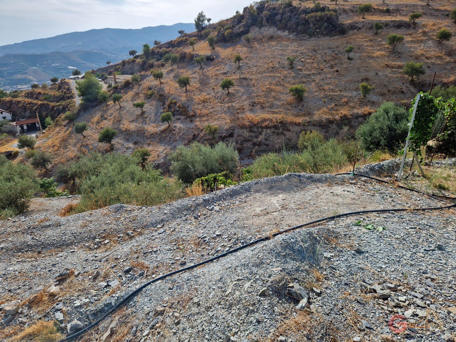 Vente de terrain dans Molvízar
