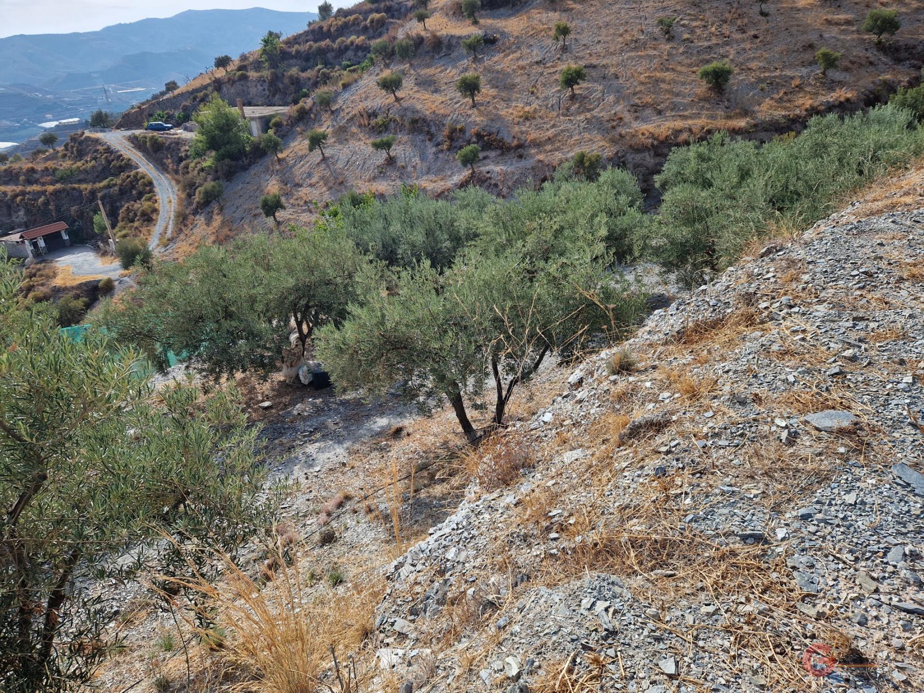 Vente de terrain dans Molvízar
