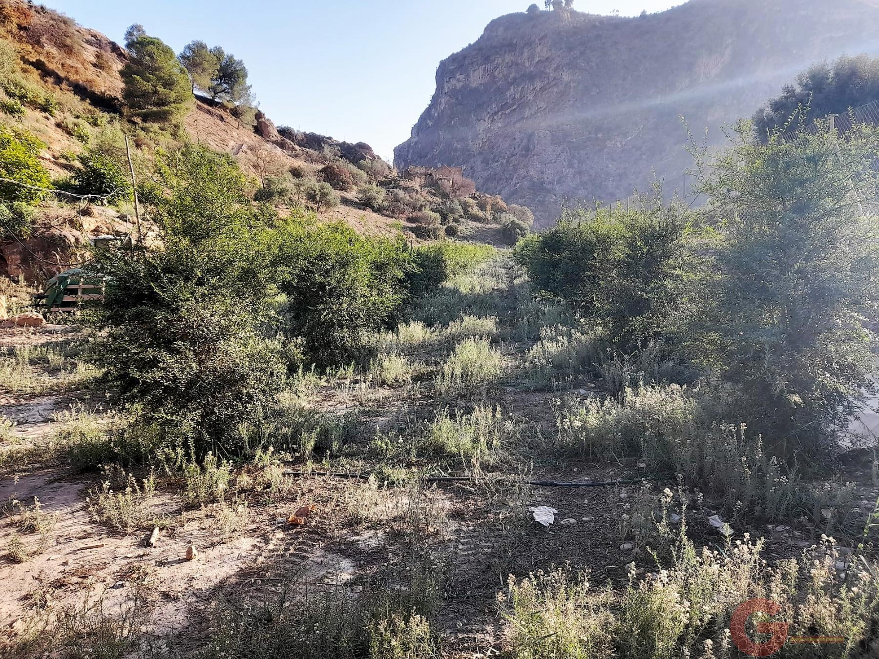 Venta de terreno en Vélez de Benaudalla Venta de terreno en Vélez de Benaudalla