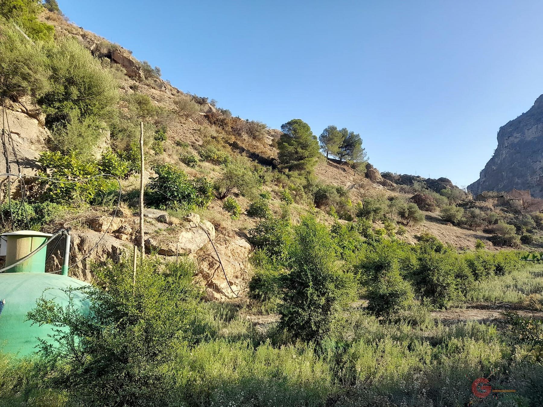 Vendita di terreno in Vélez de Benaudalla