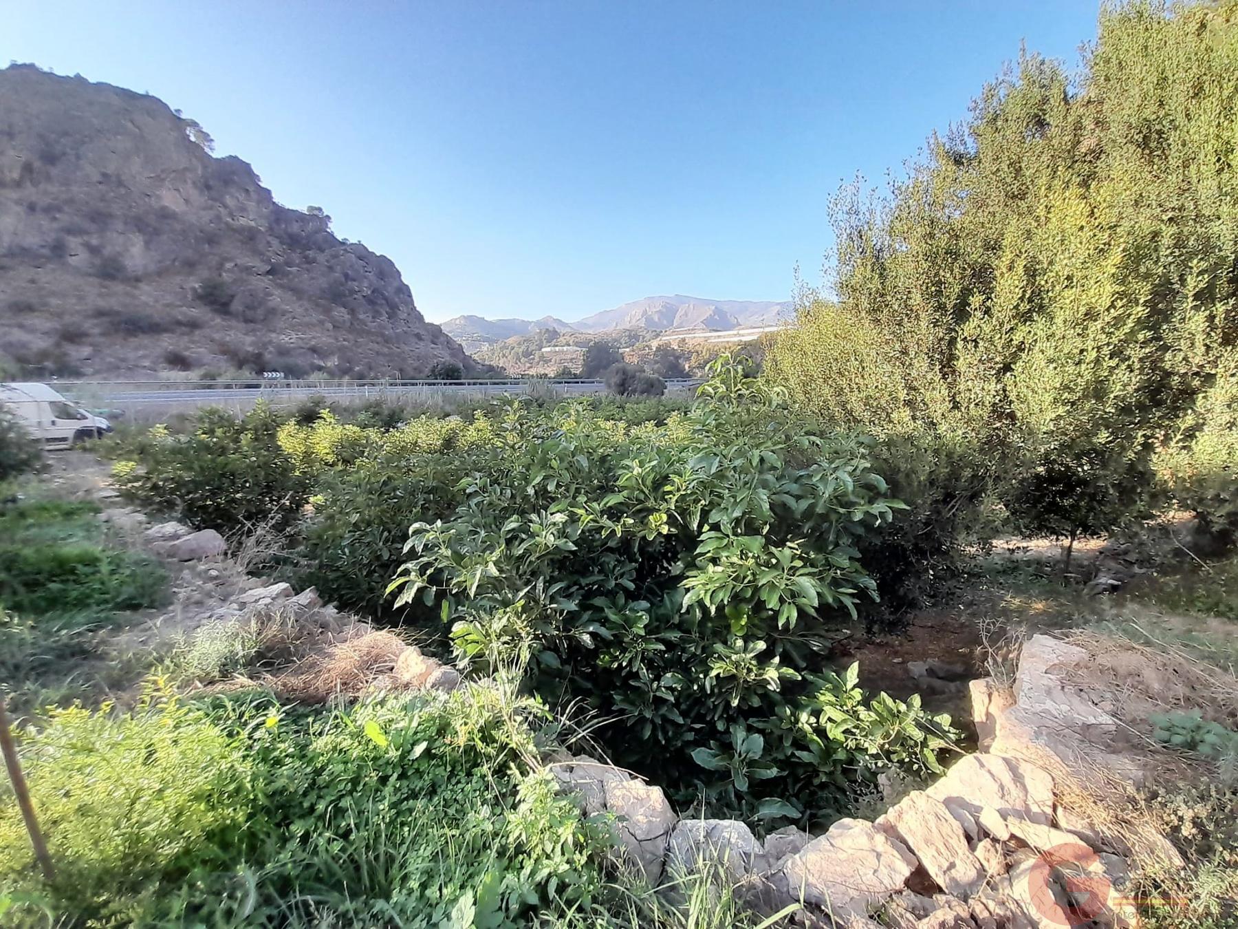 Venta de terreno en Vélez de Benaudalla Venta de terreno en Vélez de Benaudalla