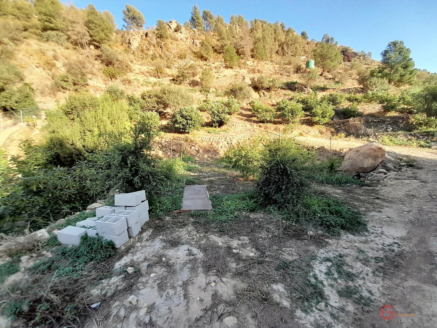 Vendita di terreno in Vélez de Benaudalla