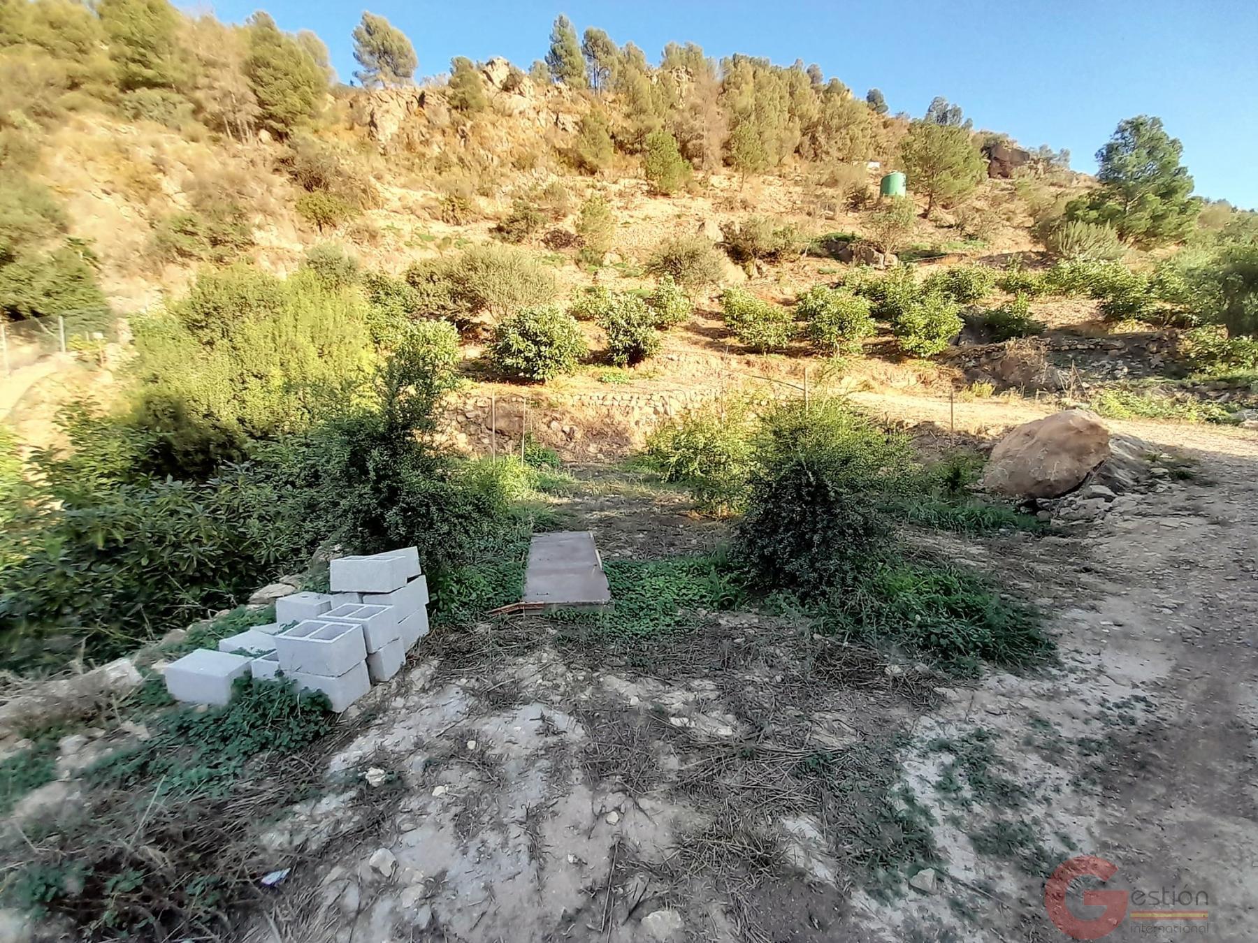 Venta de terreno en Vélez de Benaudalla Venta de terreno en Vélez de Benaudalla