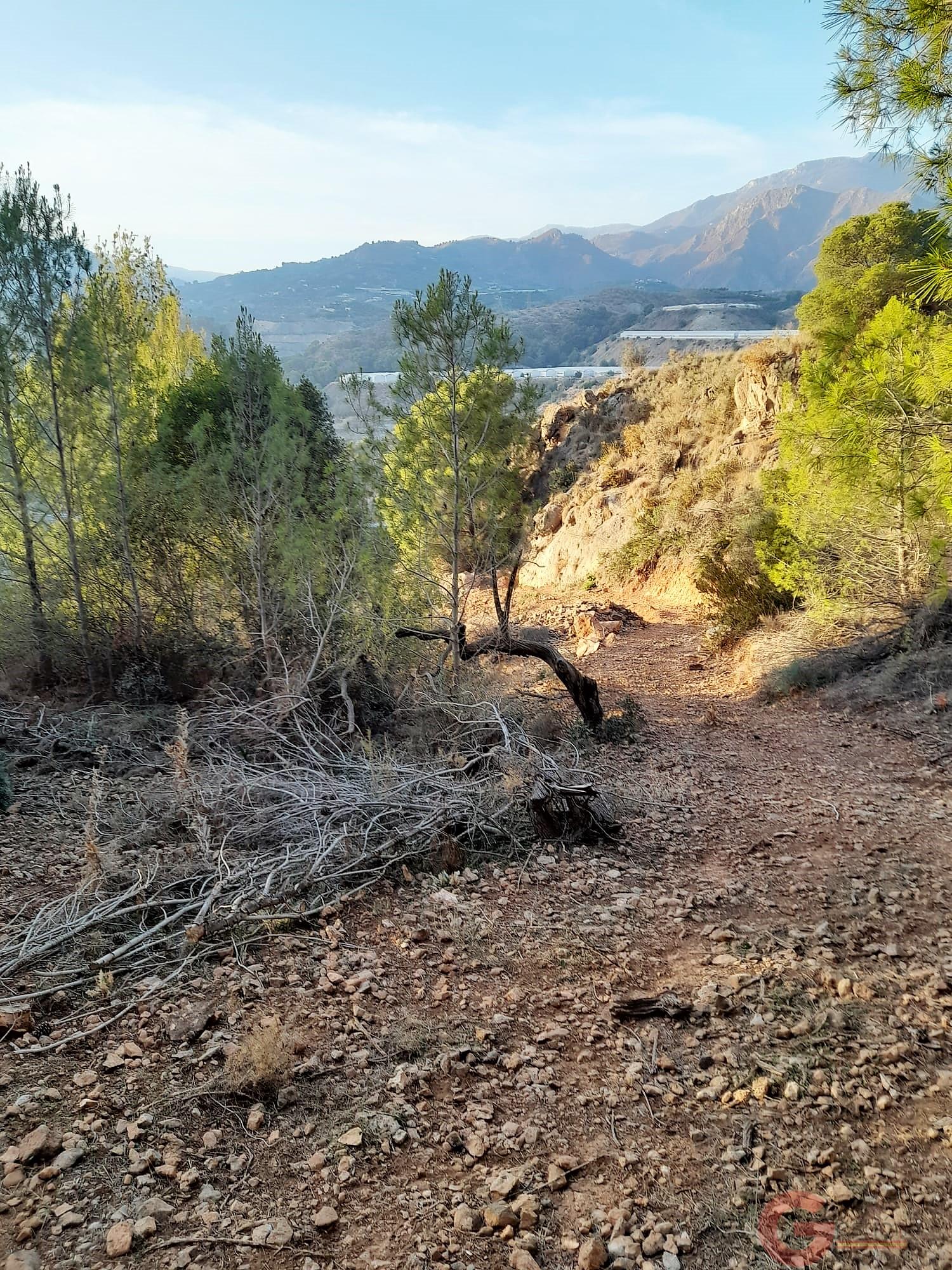 Venta de terreno en Vélez de Benaudalla Venta de terreno en Vélez de Benaudalla