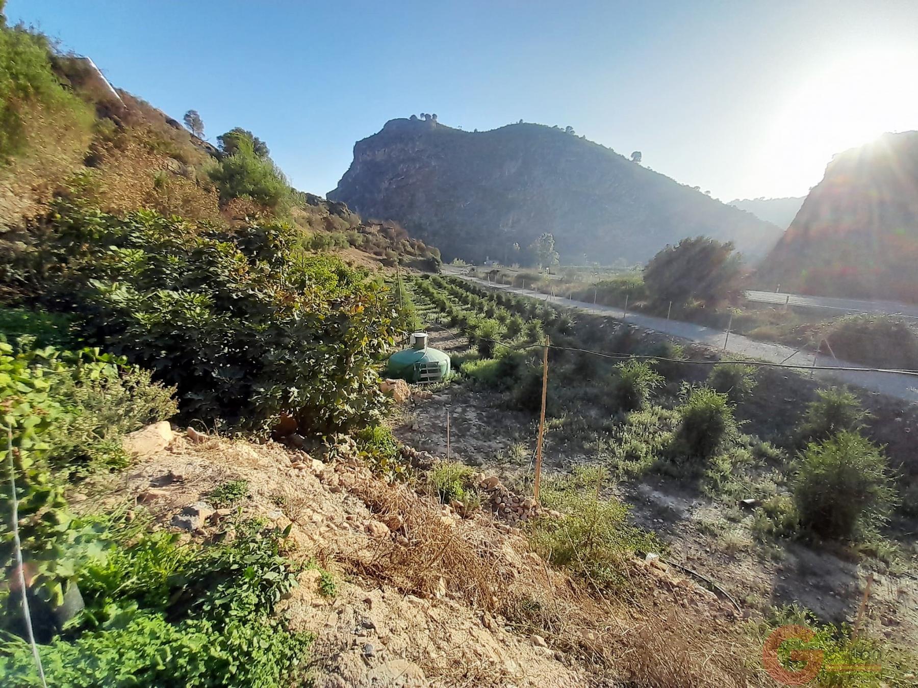 Venta de terreno en Vélez de Benaudalla Venta de terreno en Vélez de Benaudalla