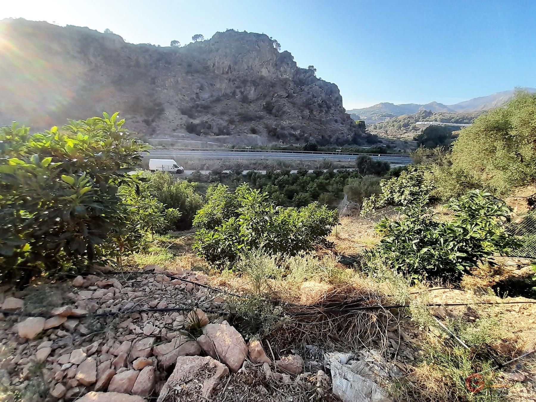 Vendita di terreno in Vélez de Benaudalla