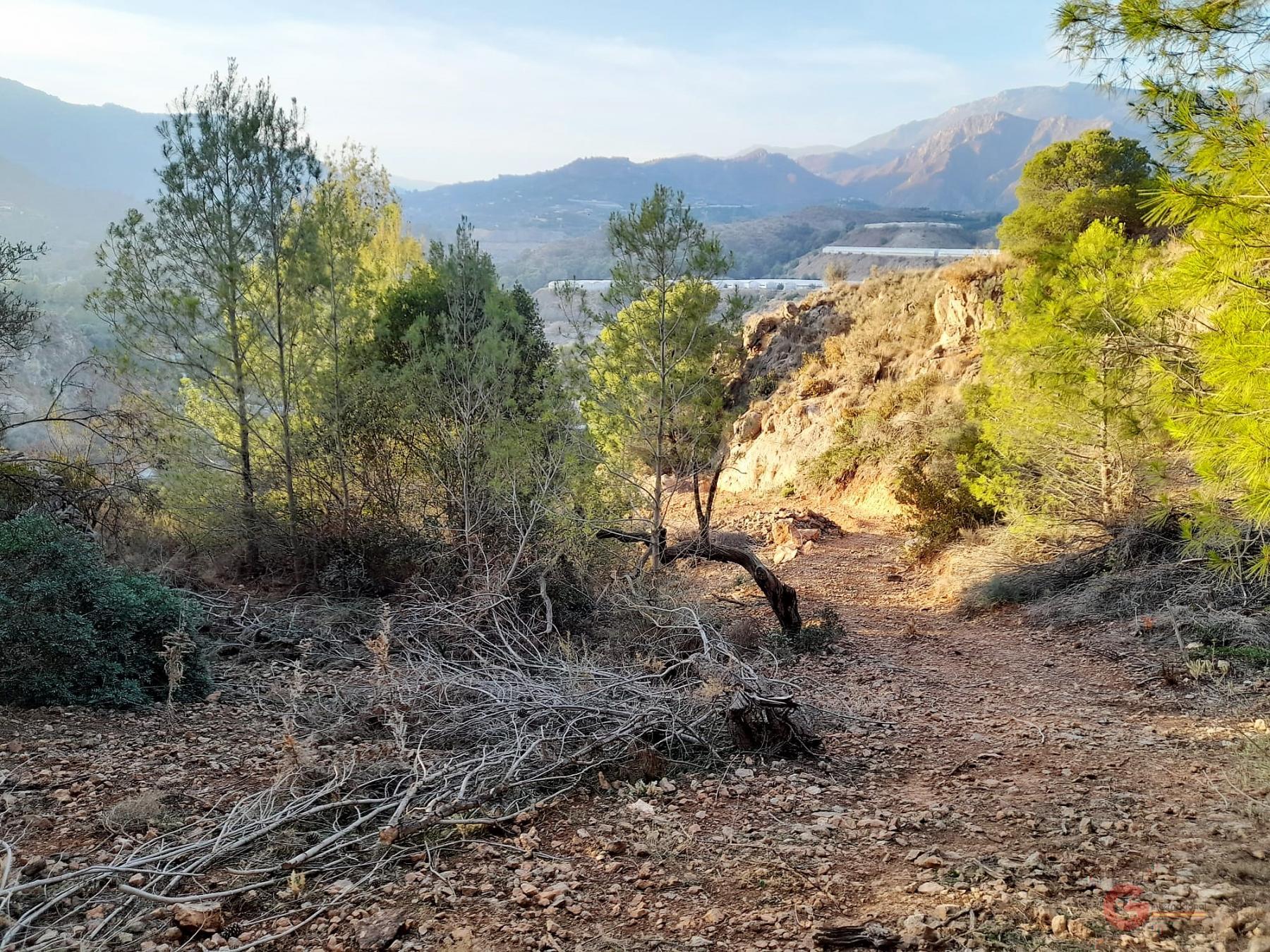 Vendita di terreno in Vélez de Benaudalla