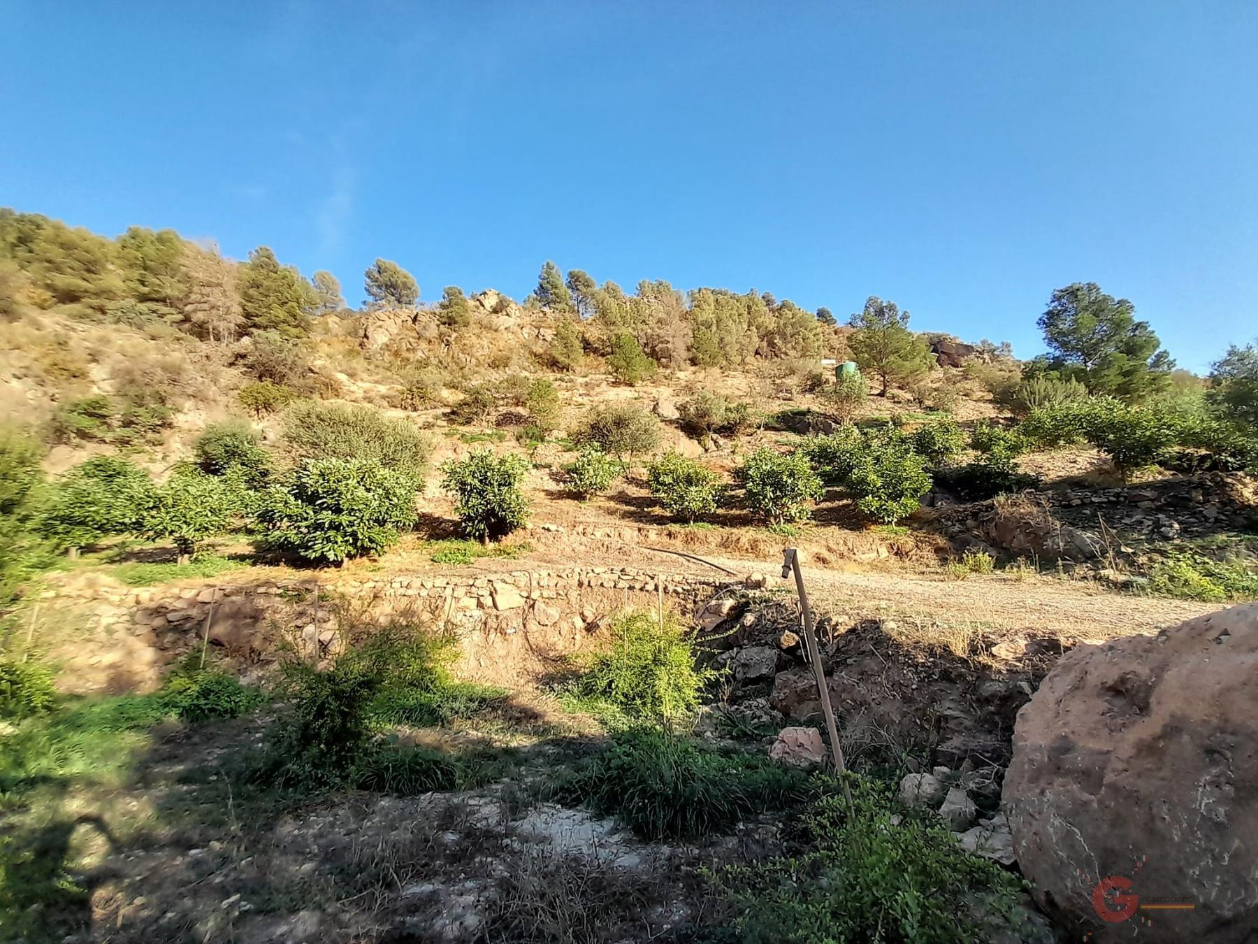 Vendita di terreno in Vélez de Benaudalla