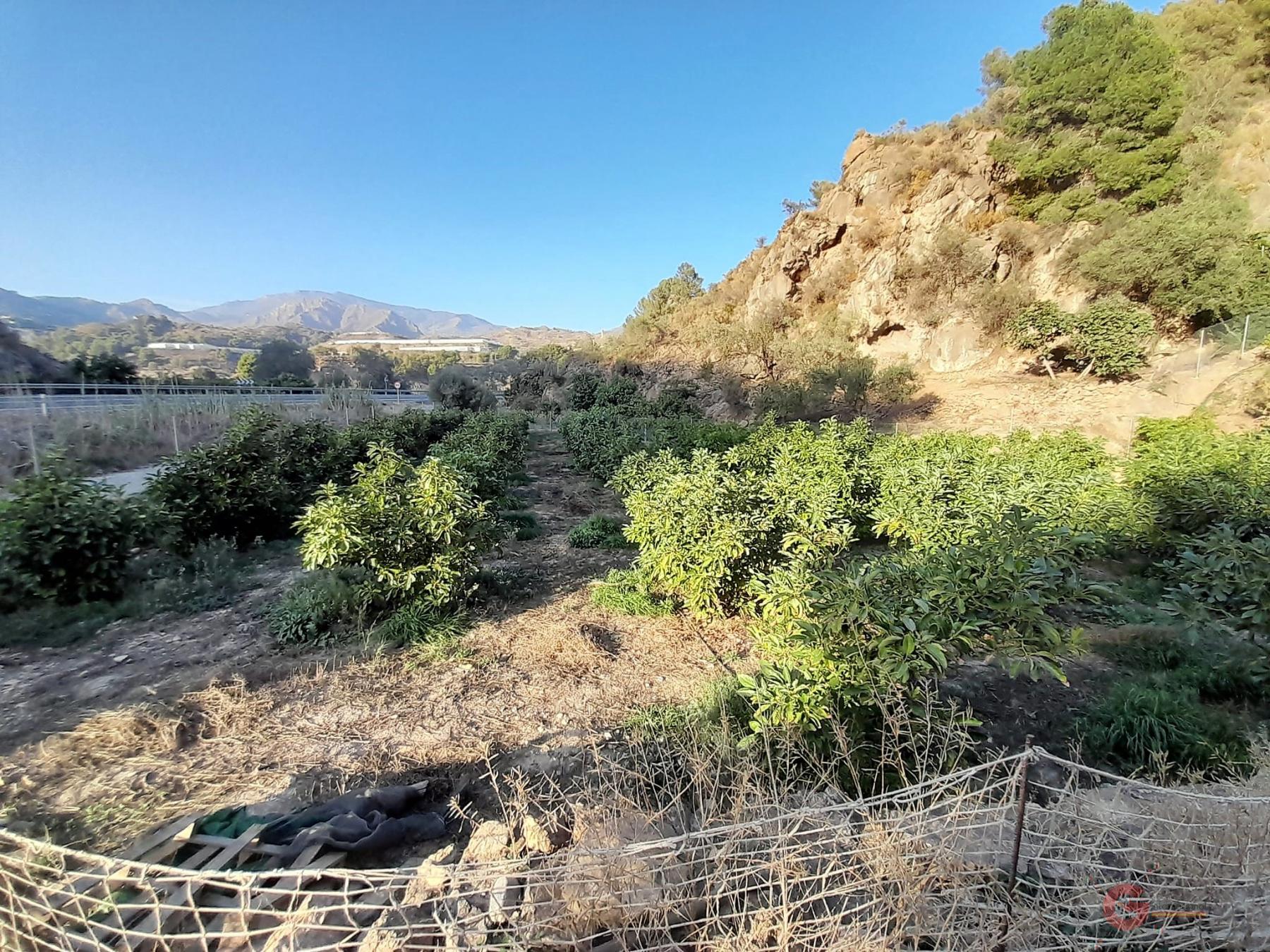 Vendita di terreno in Vélez de Benaudalla