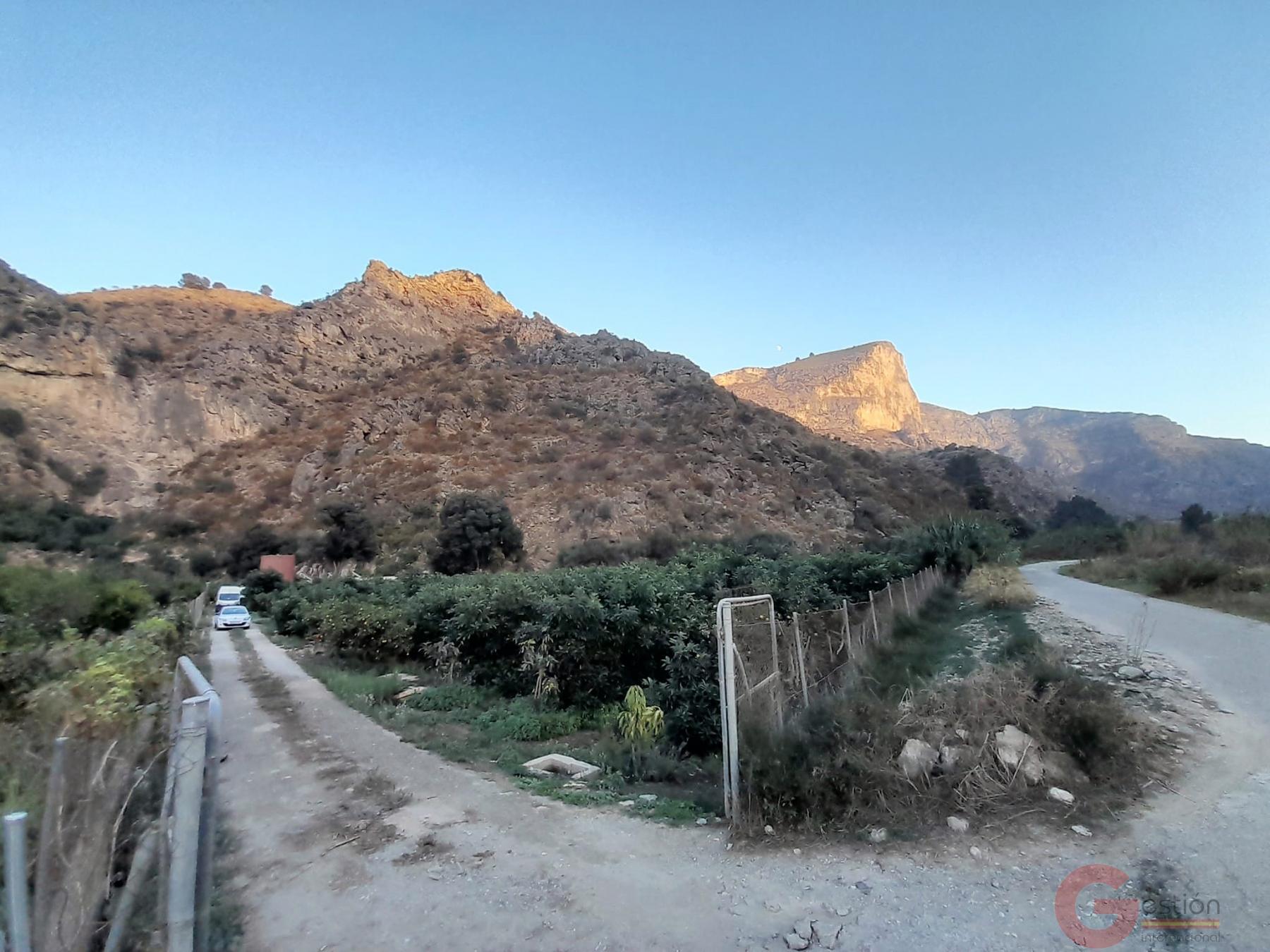 Venta de terreno en Vélez de Benaudalla Venta de terreno en Vélez de Benaudalla