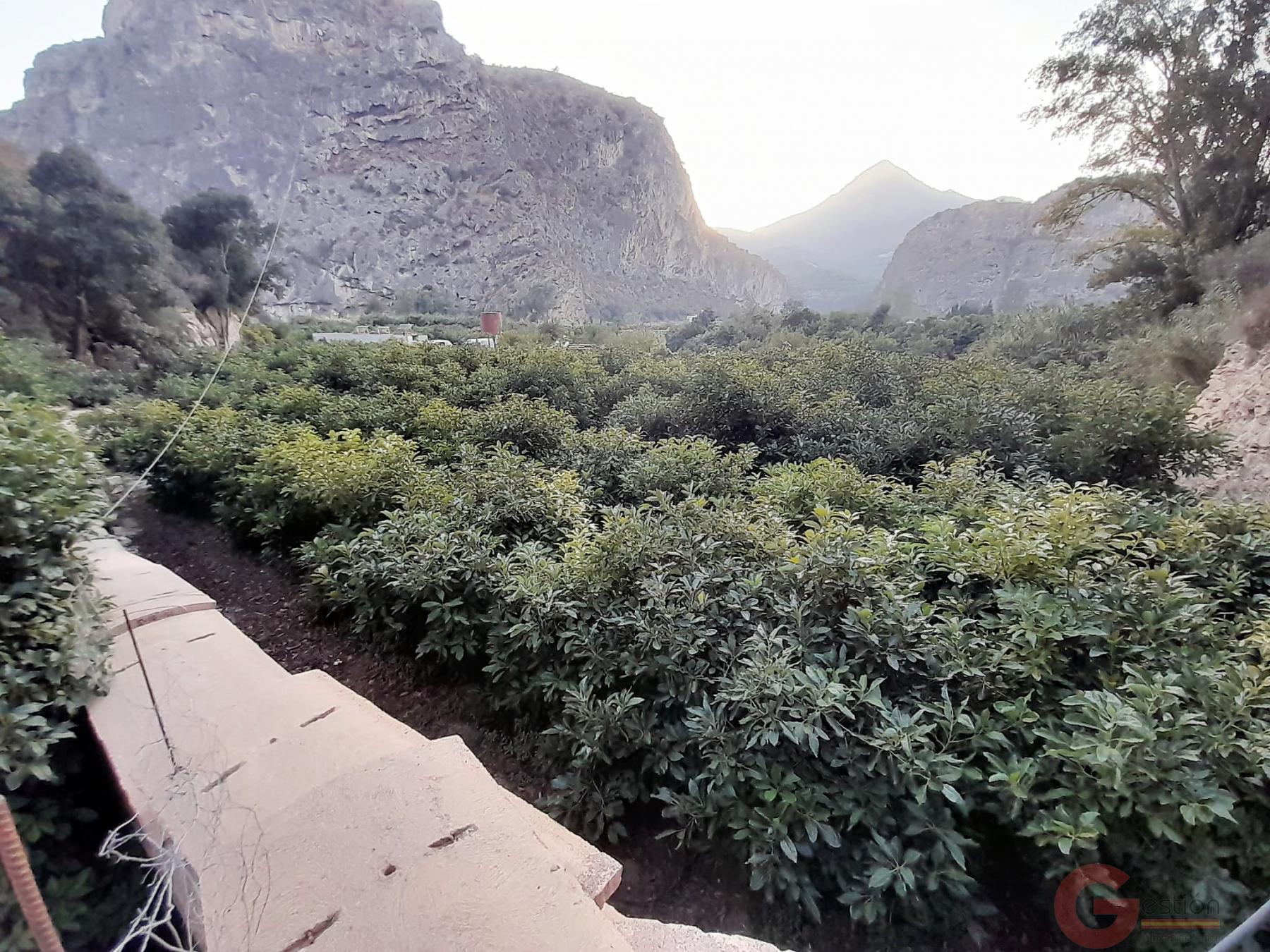 Venta de terreno en Vélez de Benaudalla Venta de terreno en Vélez de Benaudalla