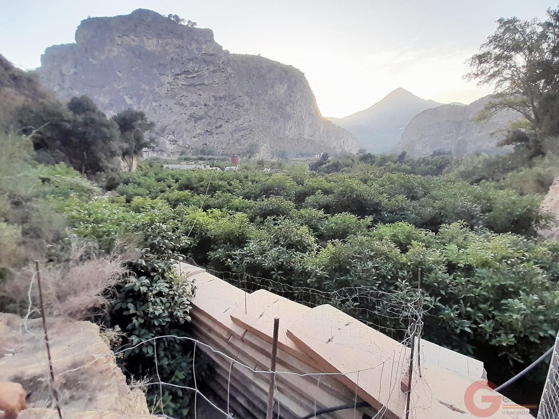 Venta de terreno en Vélez de Benaudalla Venta de terreno en Vélez de Benaudalla