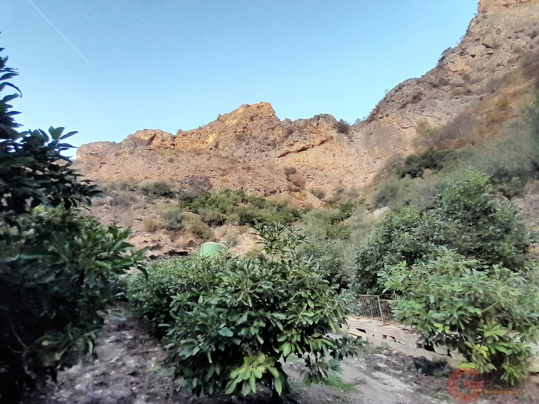 Venta de terreno en Vélez de Benaudalla Venta de terreno en Vélez de Benaudalla