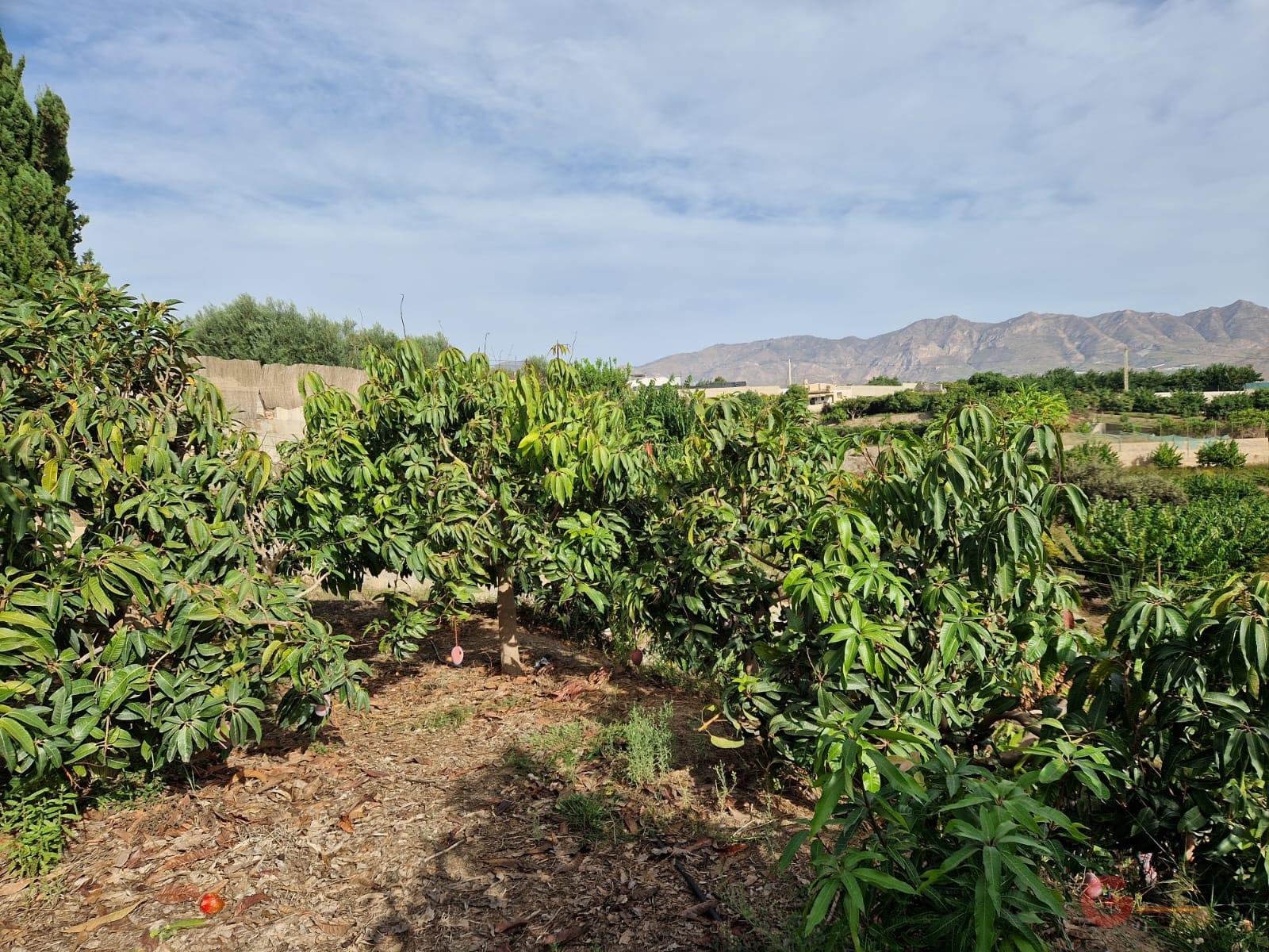 Venta de terreno en Salobreña