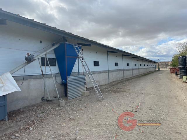 For sale of rural property in Benamaurel