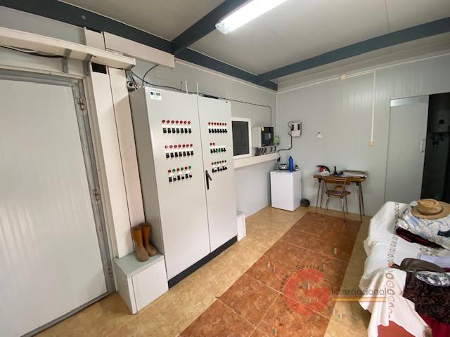 For sale of rural property in Benamaurel