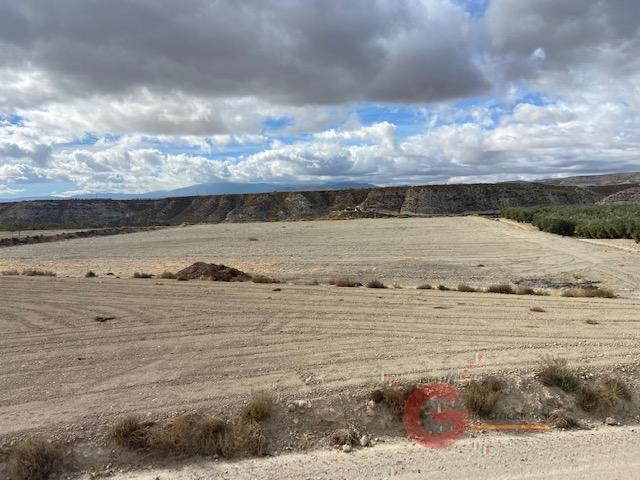 Venta de finca rústica en Benamaurel