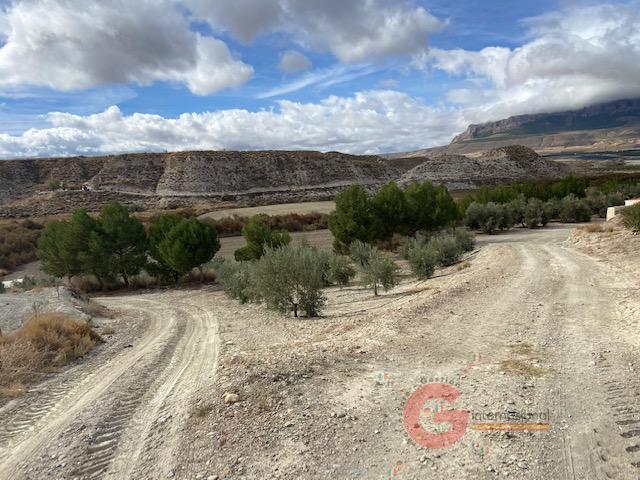 For sale of rural property in Benamaurel