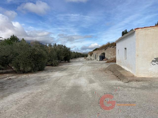 For sale of rural property in Benamaurel