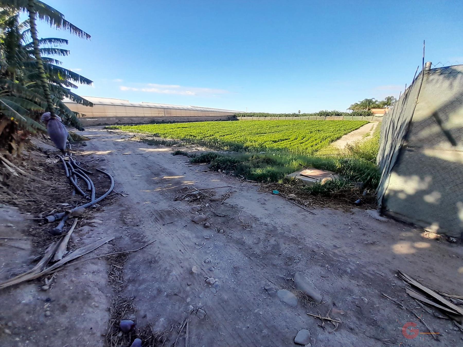 Venta de terreno en Motril