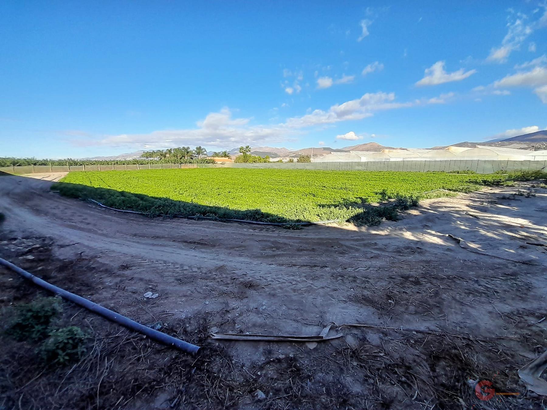 Venta de terreno en Motril