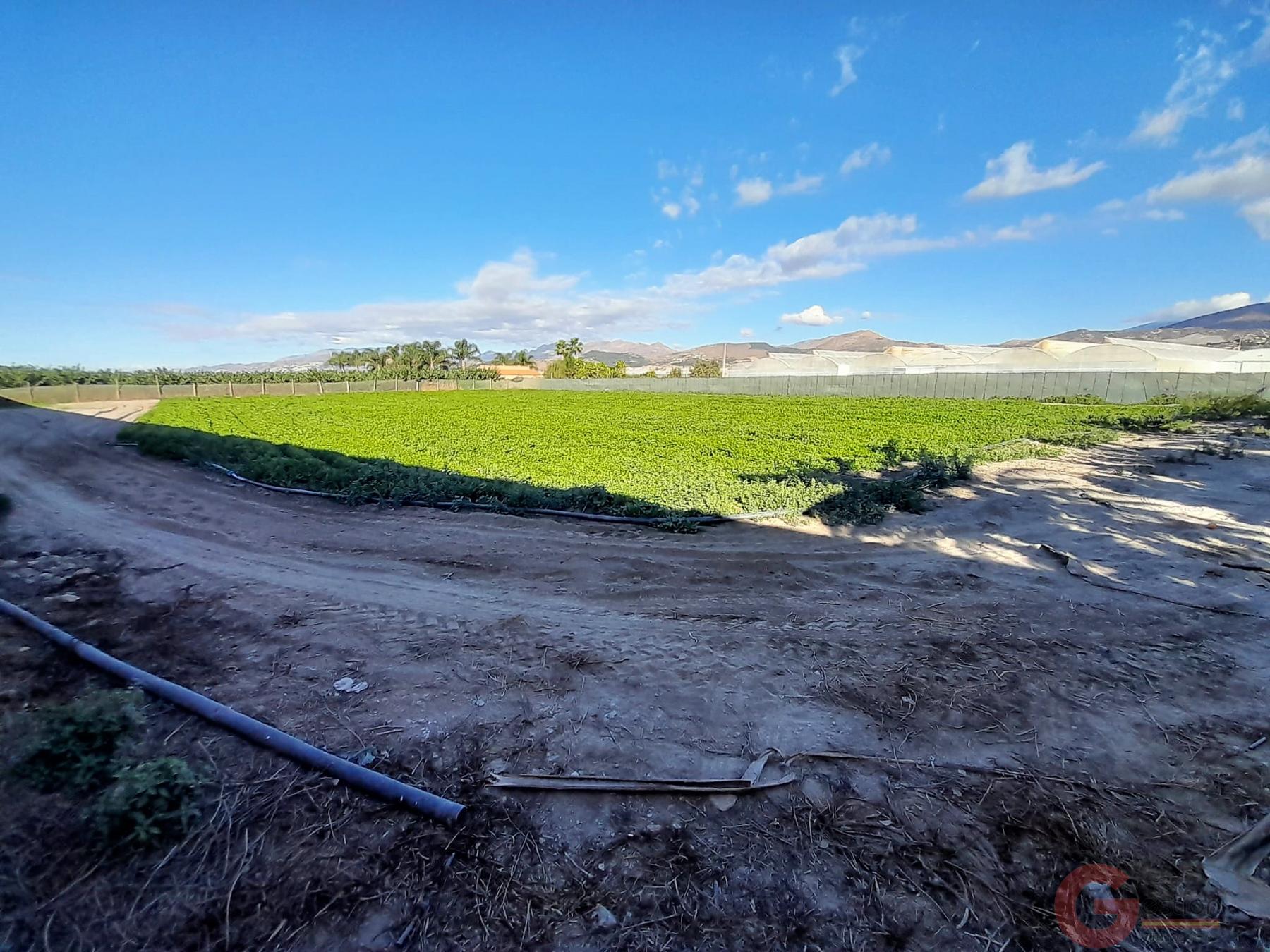 Venta de terreno en Motril Venta de terreno en Motril