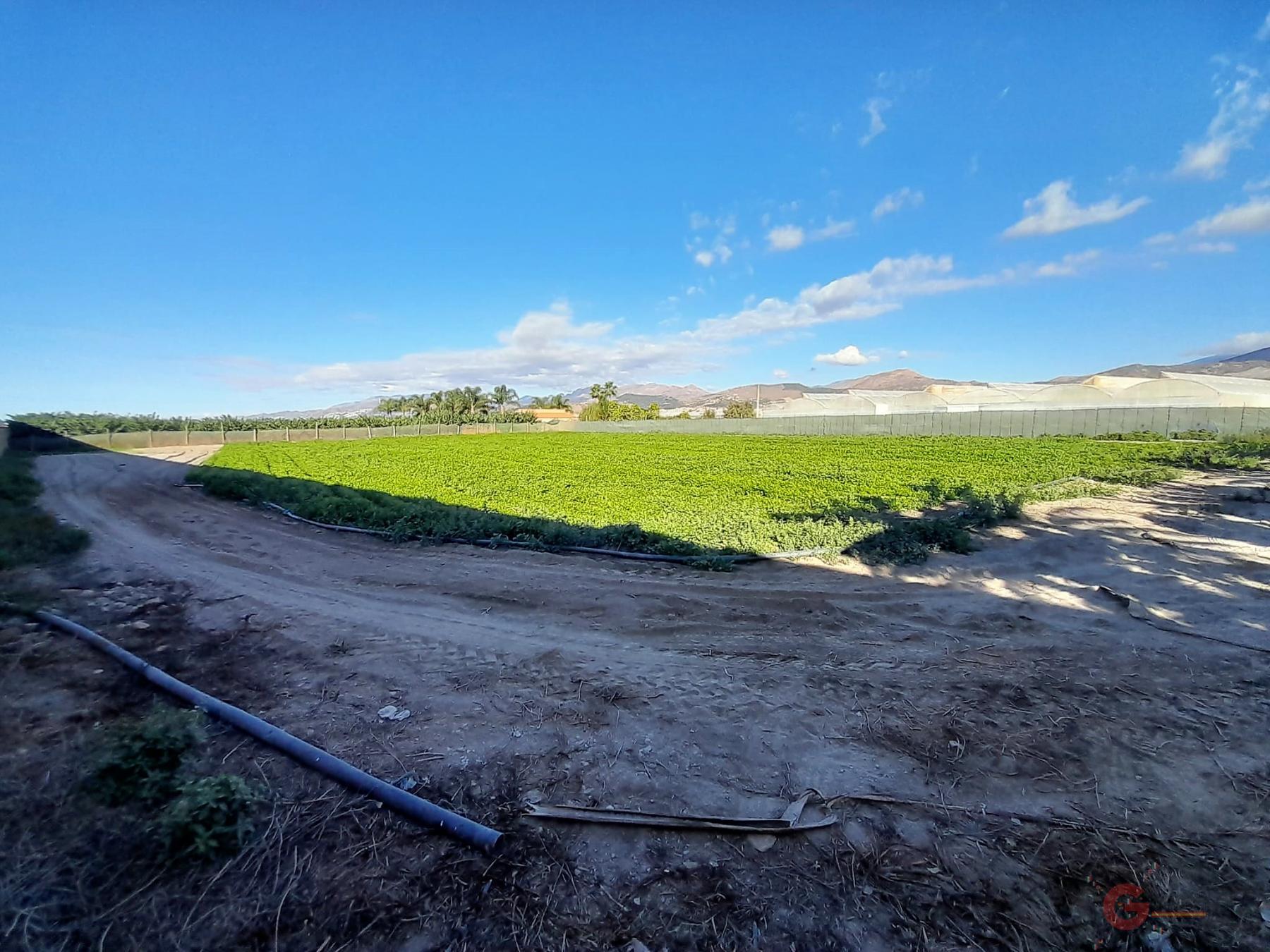 Venta de terreno en Motril