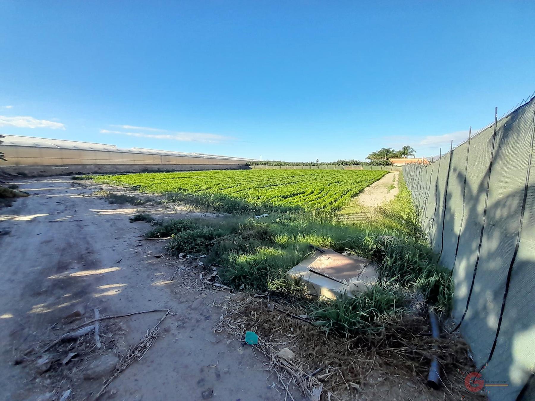 Venta de terreno en Motril