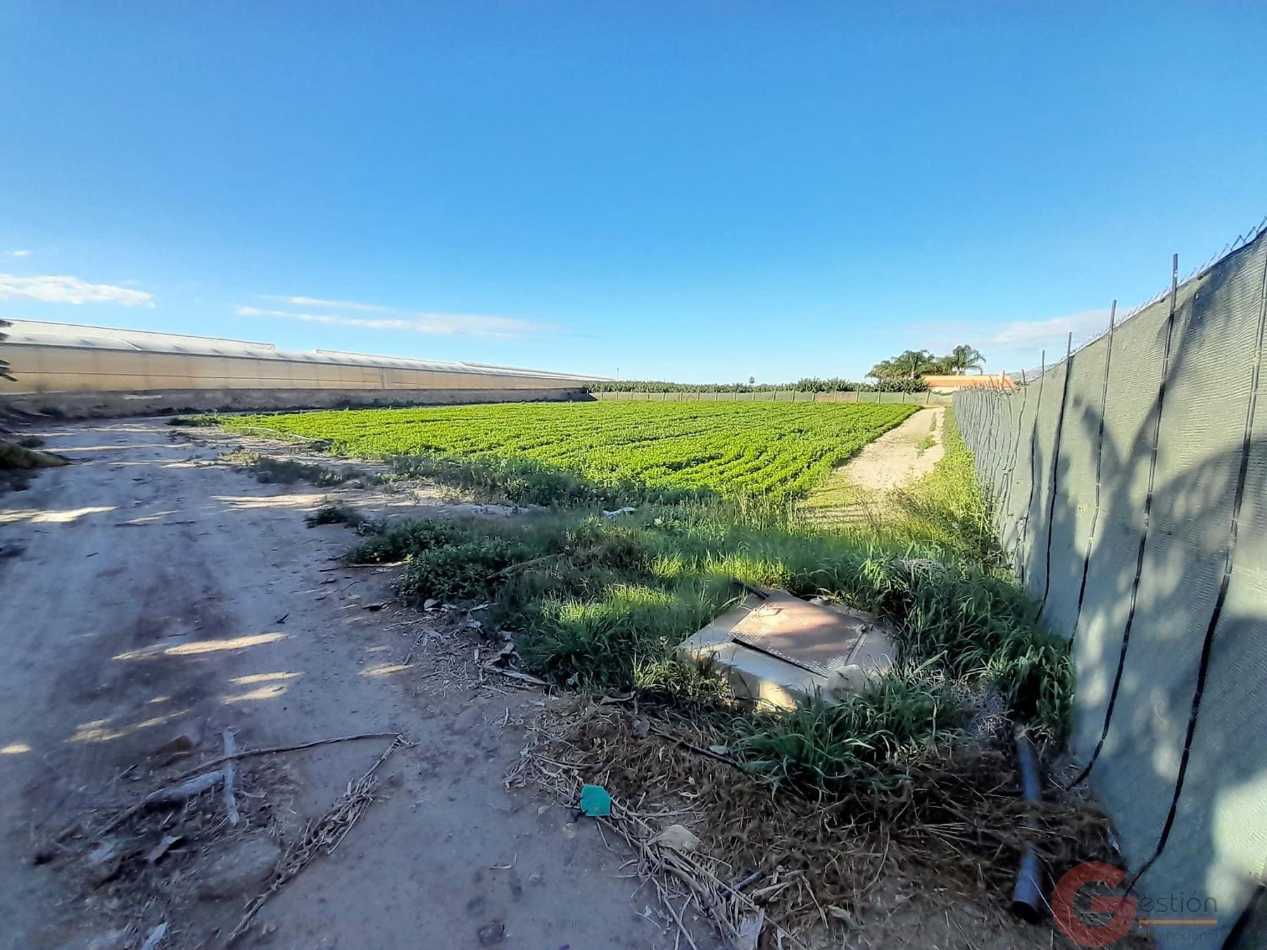 Venta de terreno en Motril Venta de terreno en Motril