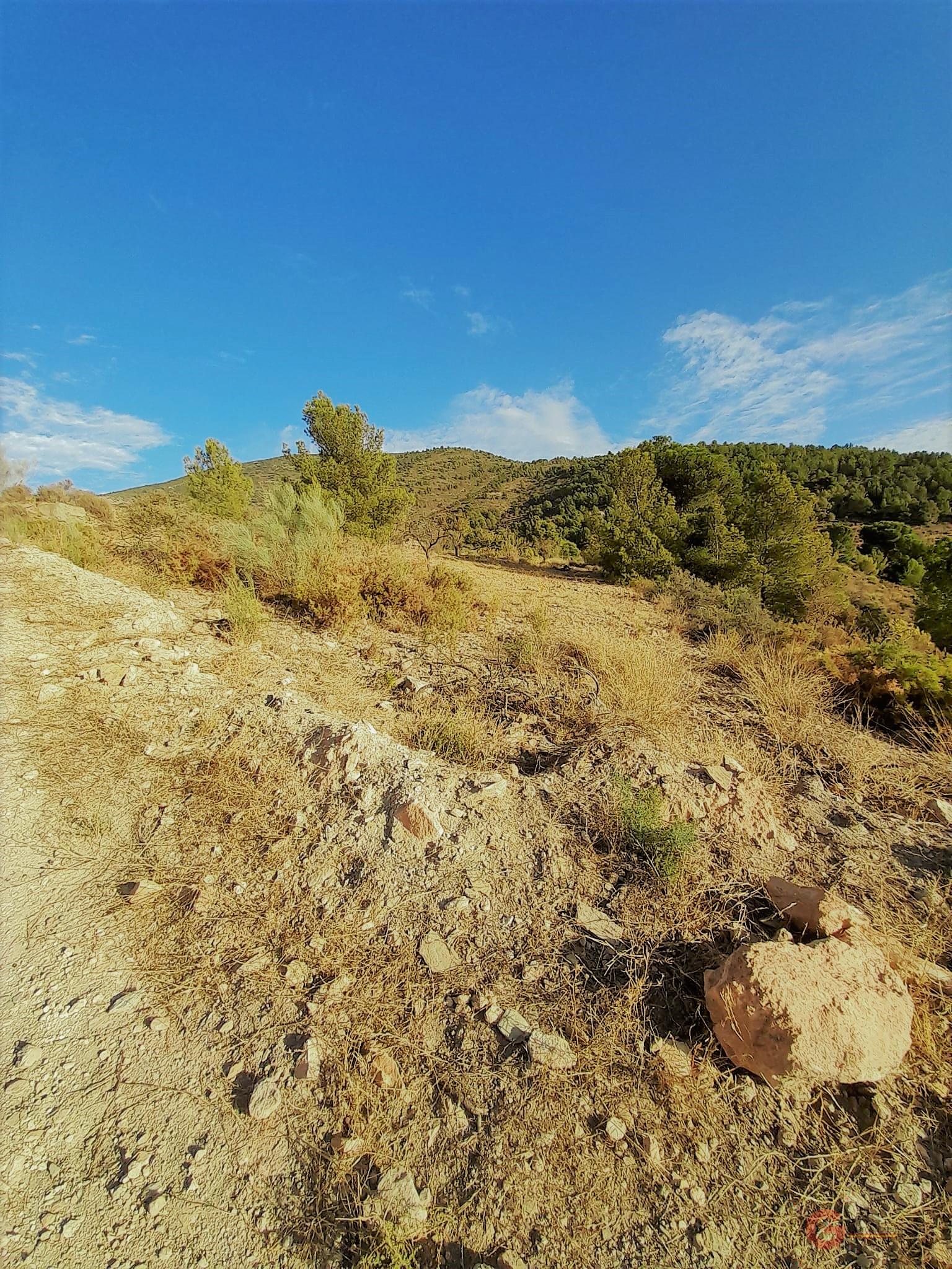 Vente de terrain dans Vélez de Benaudalla