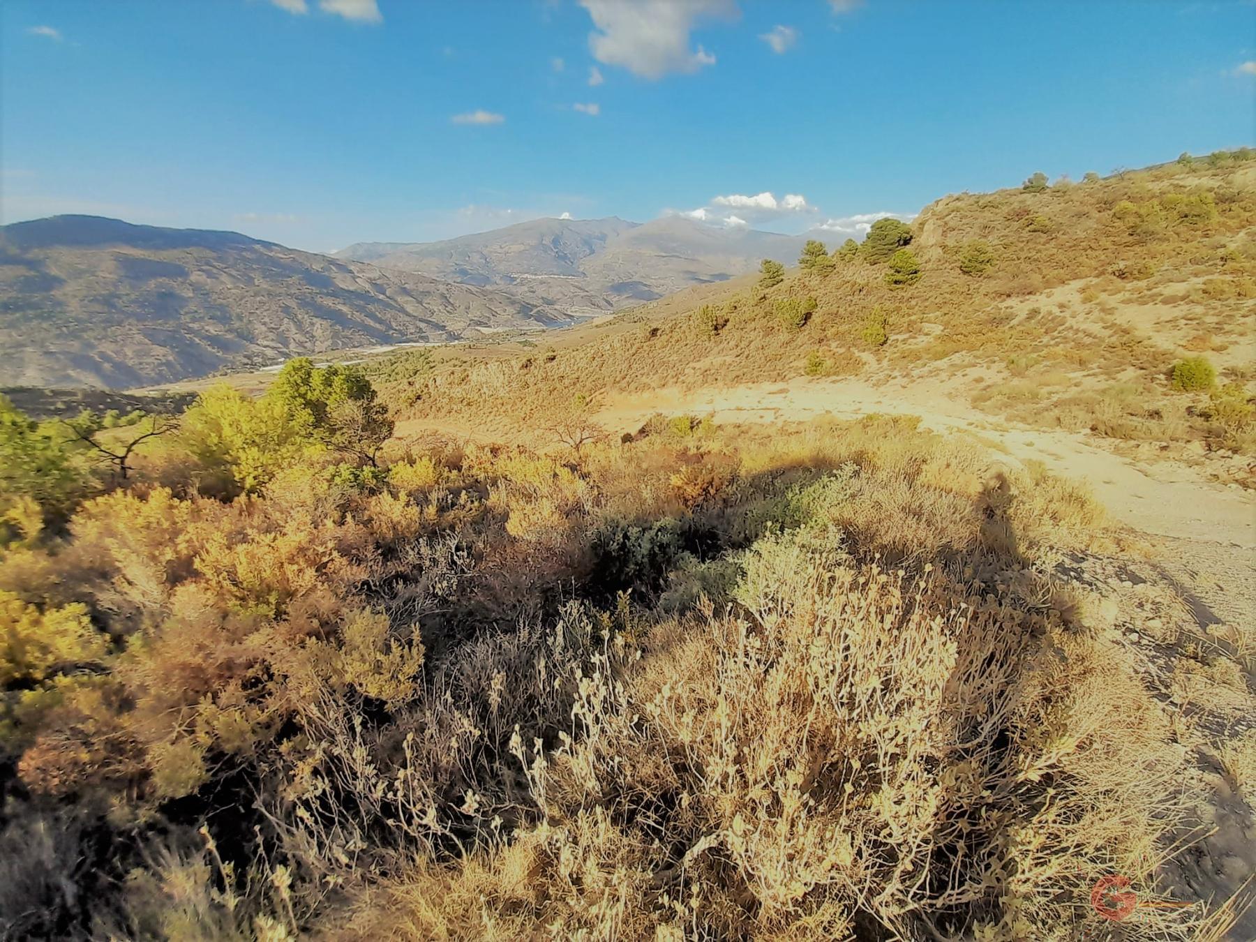 Vente de terrain dans Vélez de Benaudalla