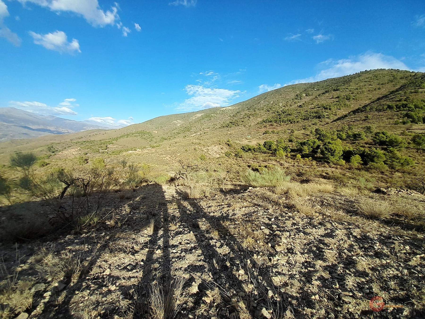 Vente de terrain dans Vélez de Benaudalla