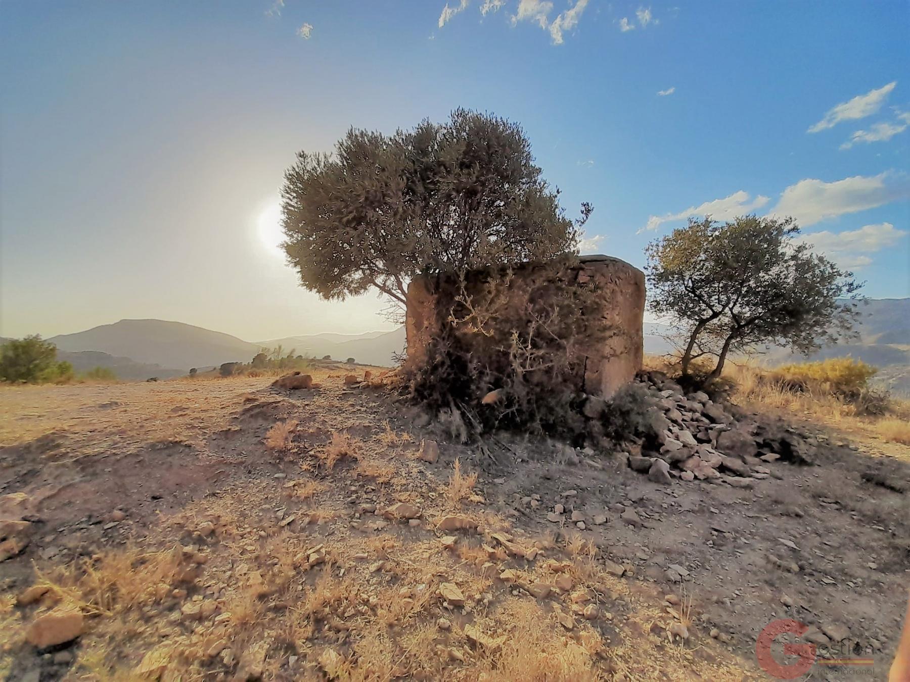 Venta de terreno en Vélez de Benaudalla Venta de terreno en Vélez de Benaudalla