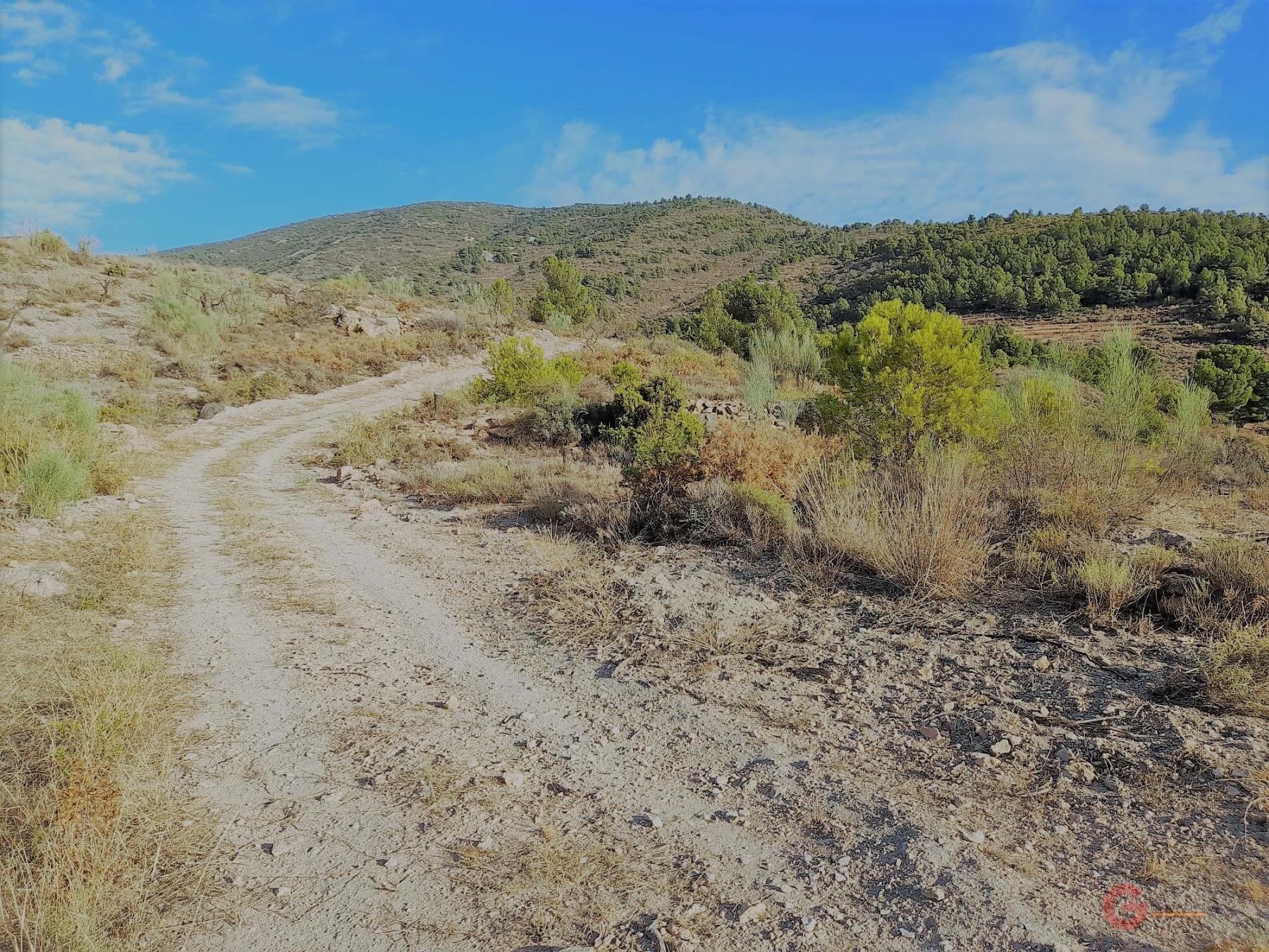Vente de terrain dans Vélez de Benaudalla
