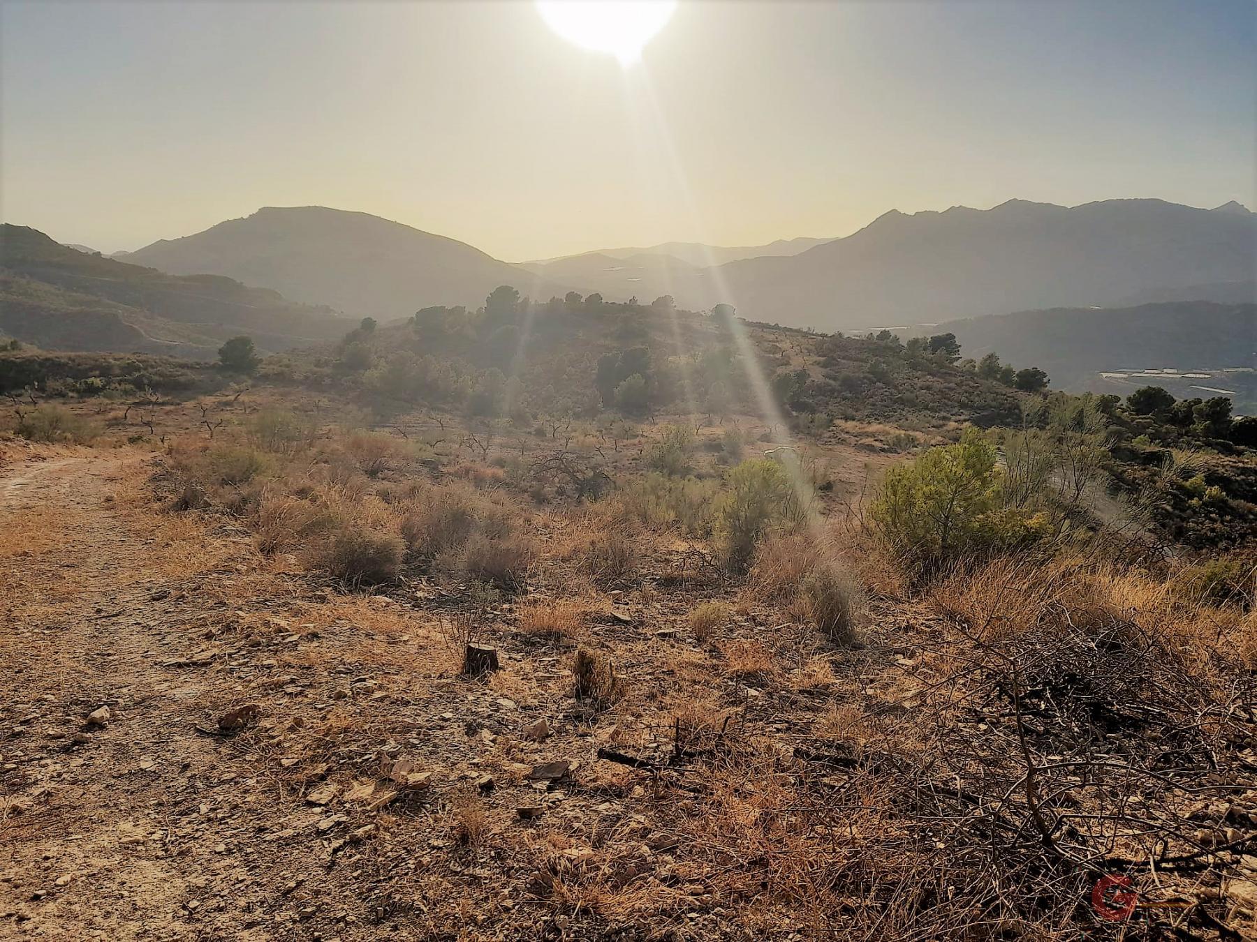 Vente de terrain dans Vélez de Benaudalla