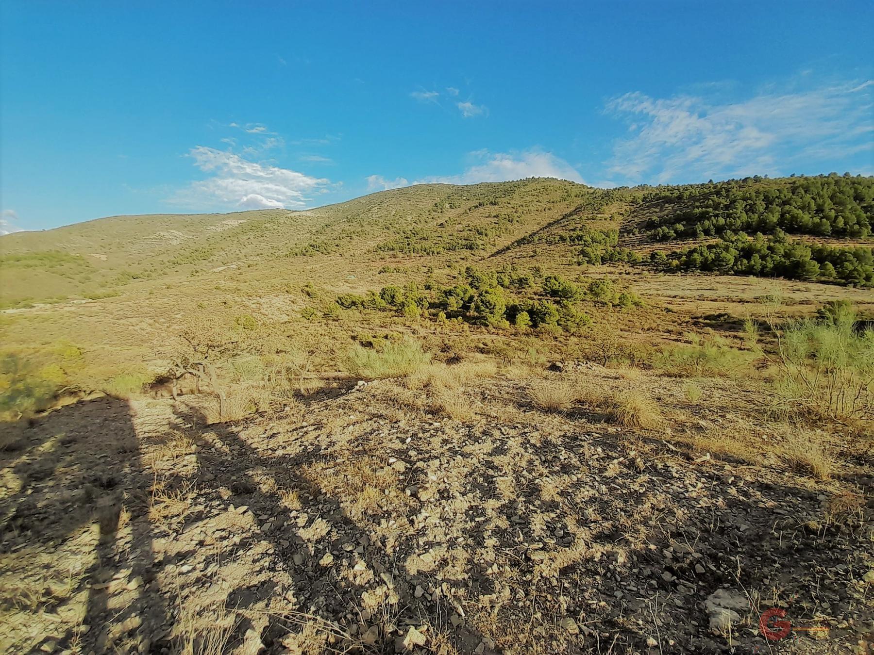 Vente de terrain dans Vélez de Benaudalla