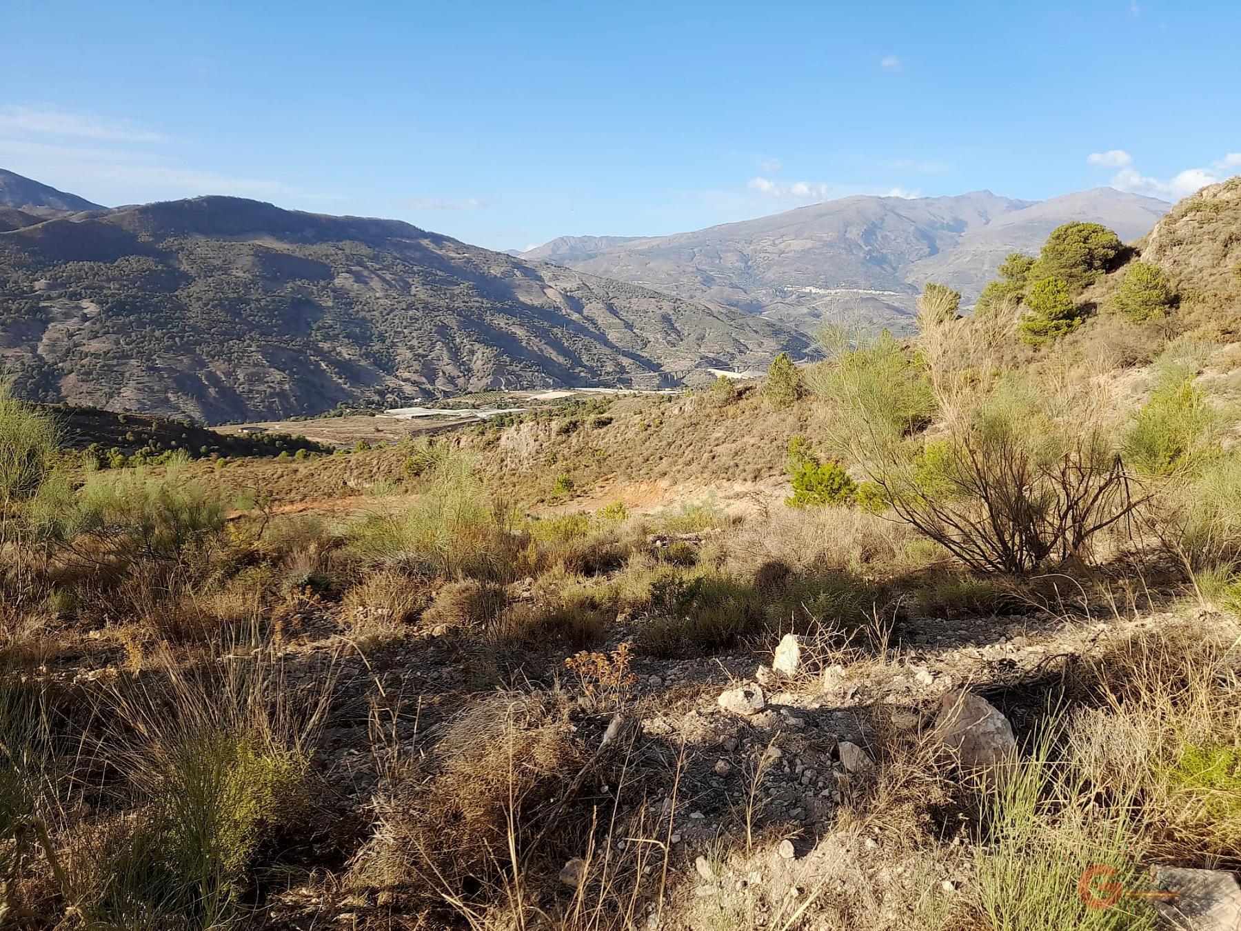 Vente de terrain dans Vélez de Benaudalla