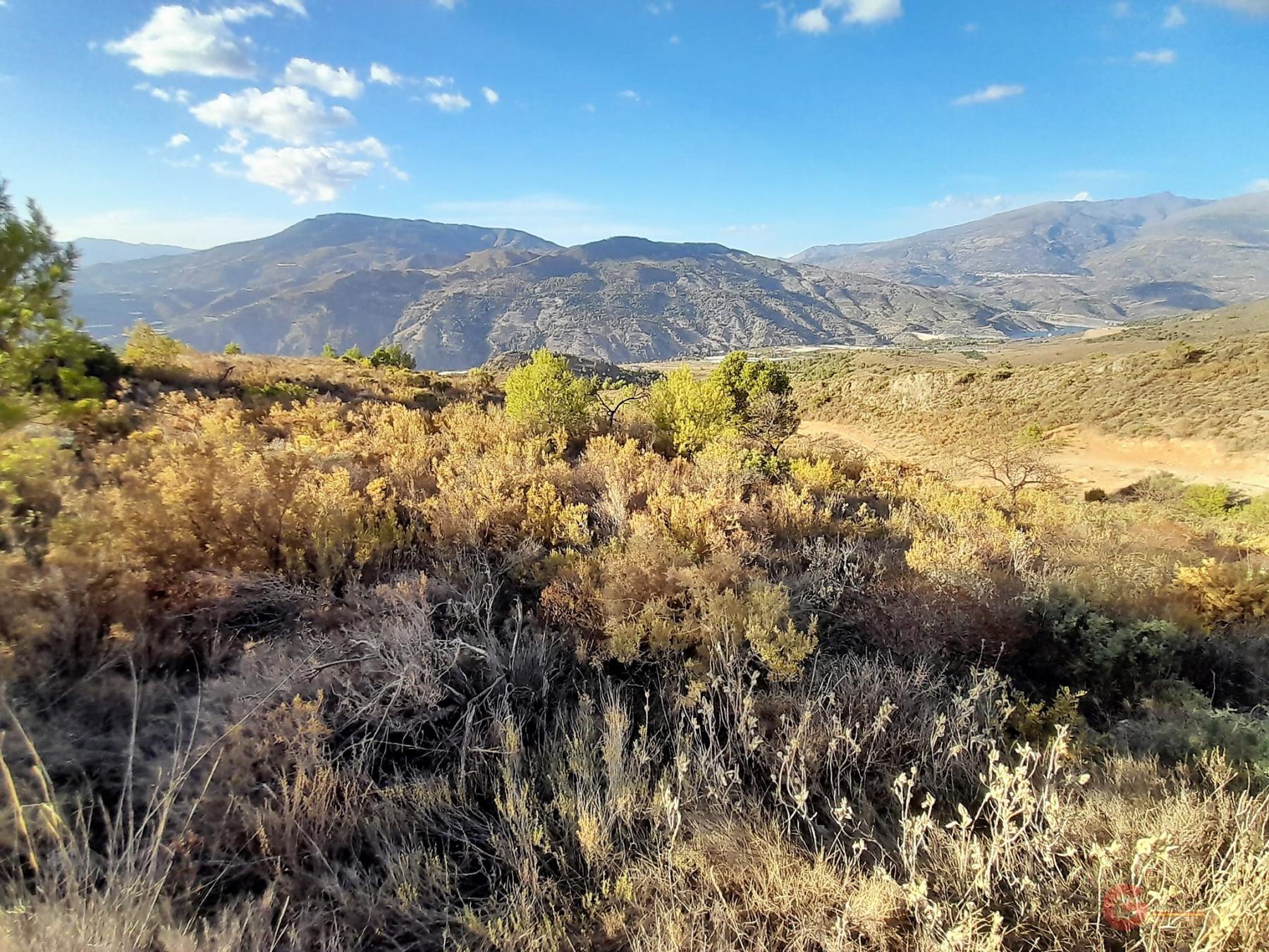 Vente de terrain dans Vélez de Benaudalla